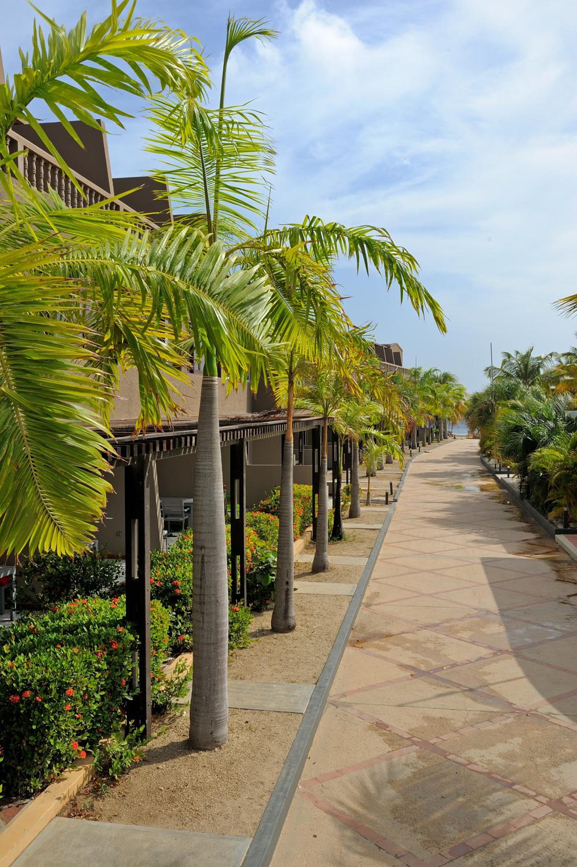 Eden Beach Resort - Bonaire