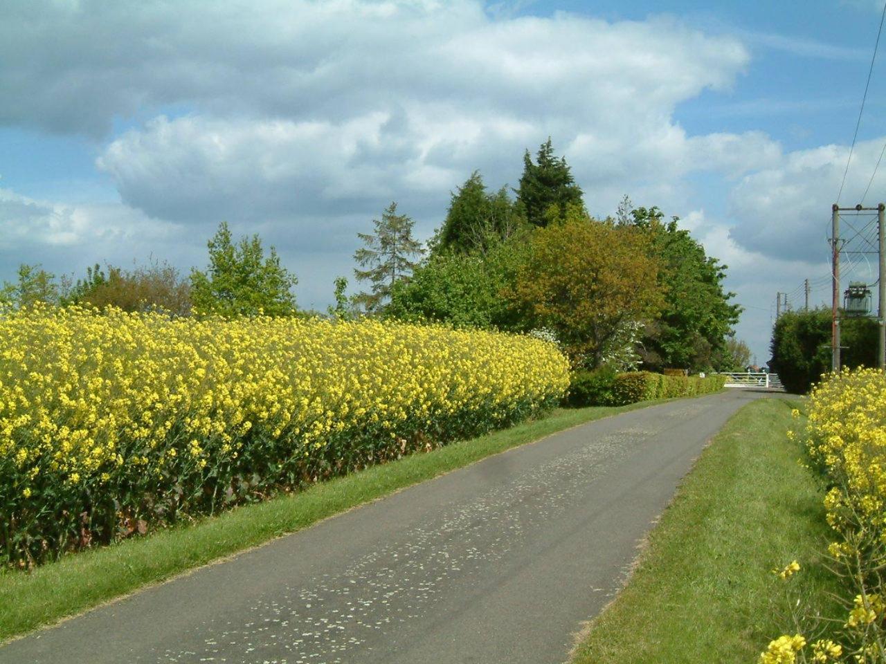 Photo 33