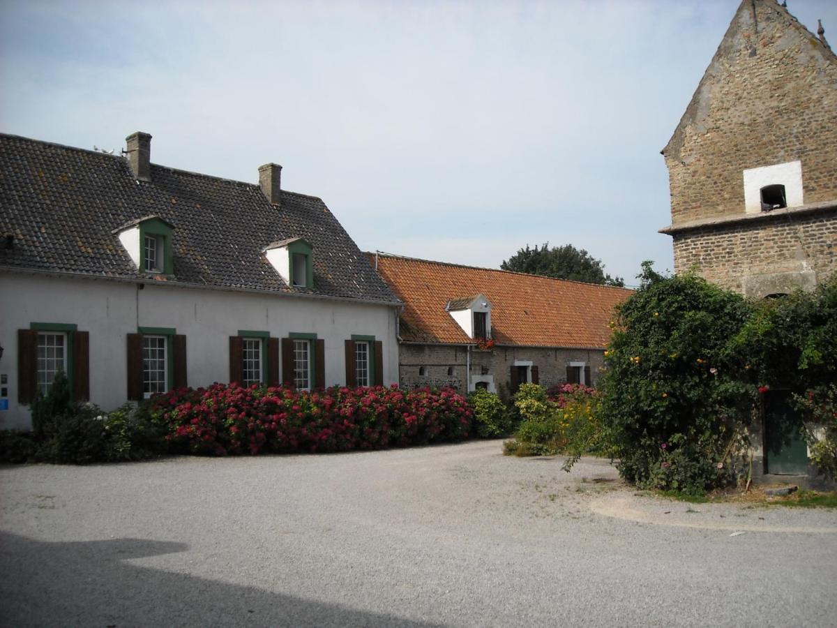 Photo 7