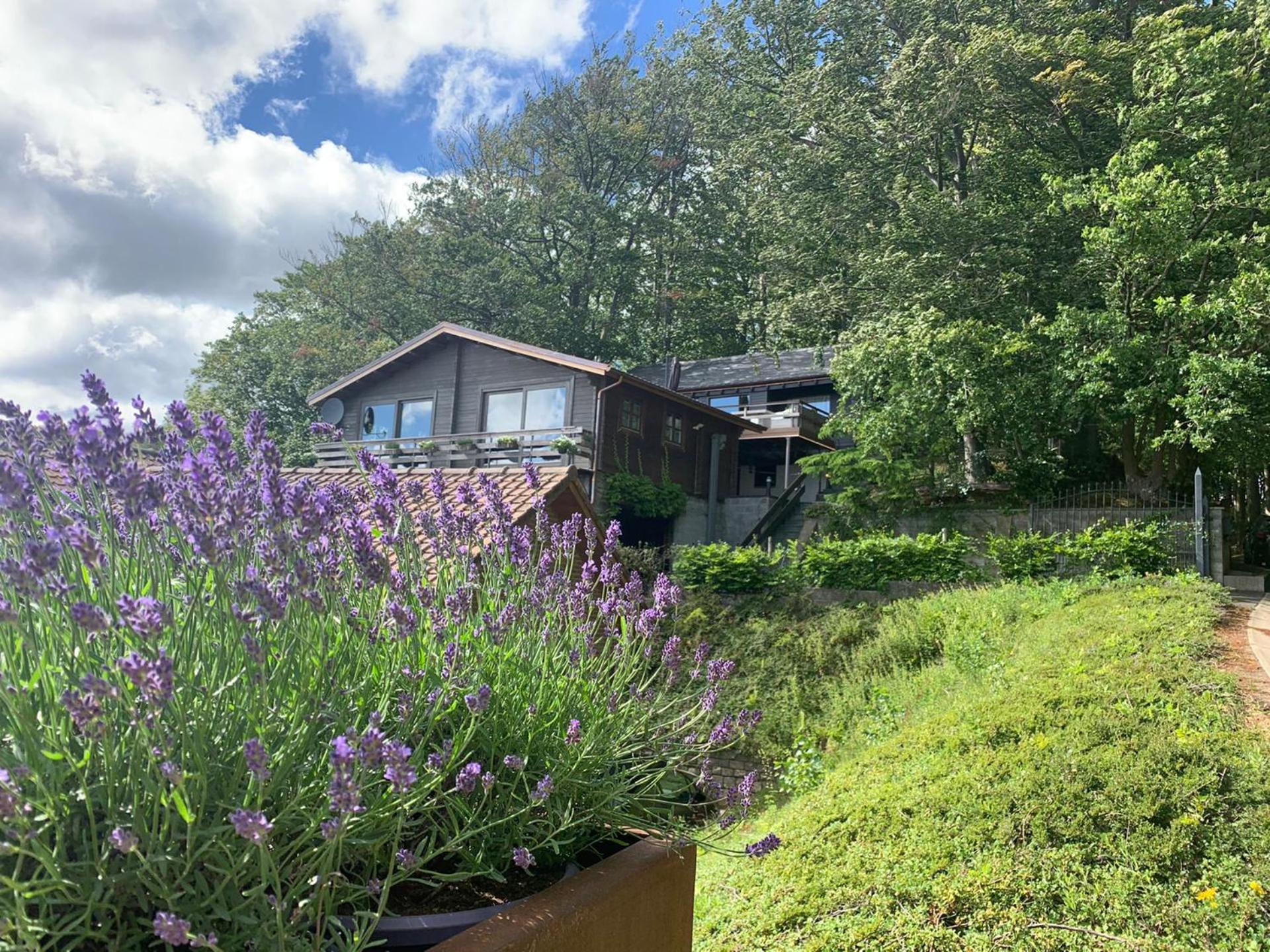 Chalet de la Sablière view 4
