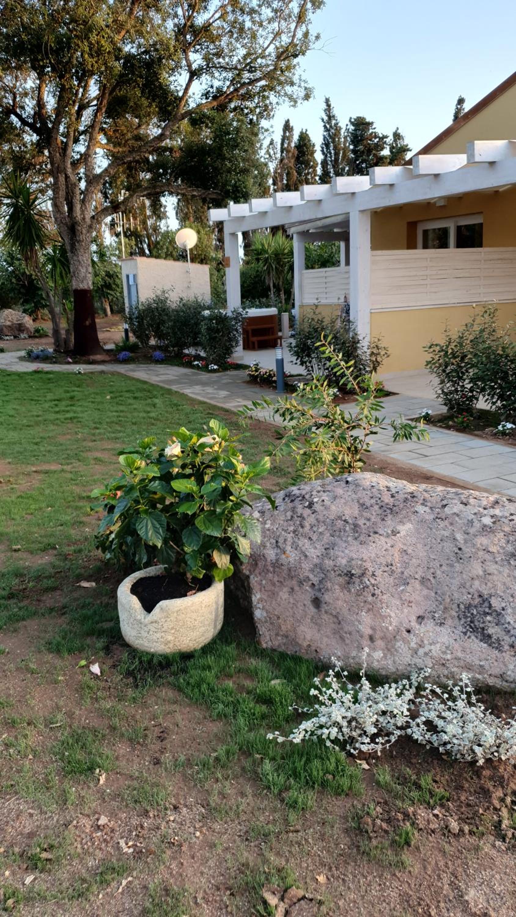 Photo 6