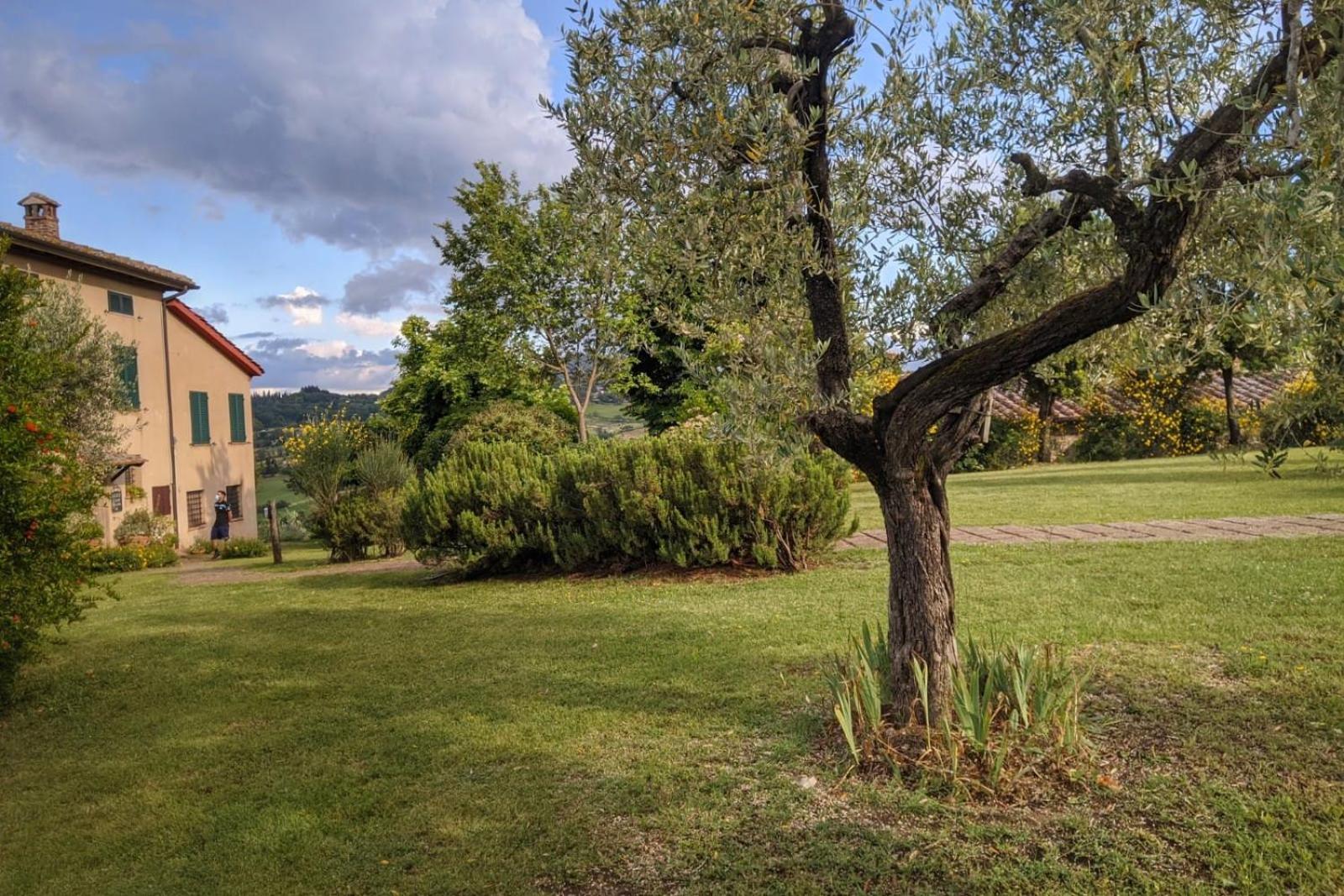 Photo 44
