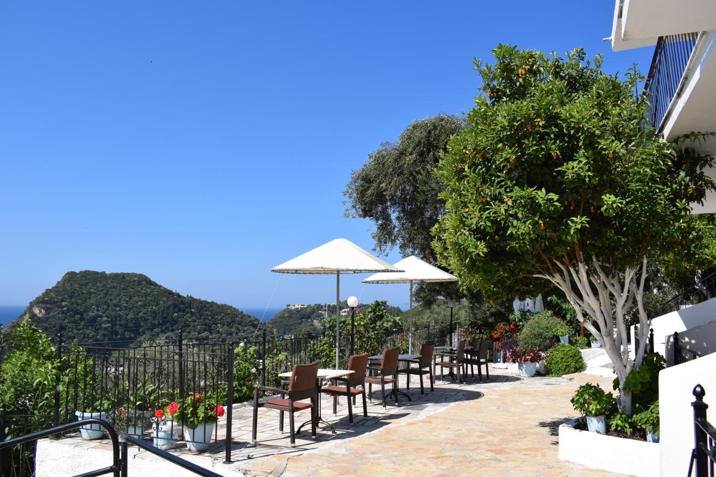 manolo studios corfu paleokastritsa photo 2