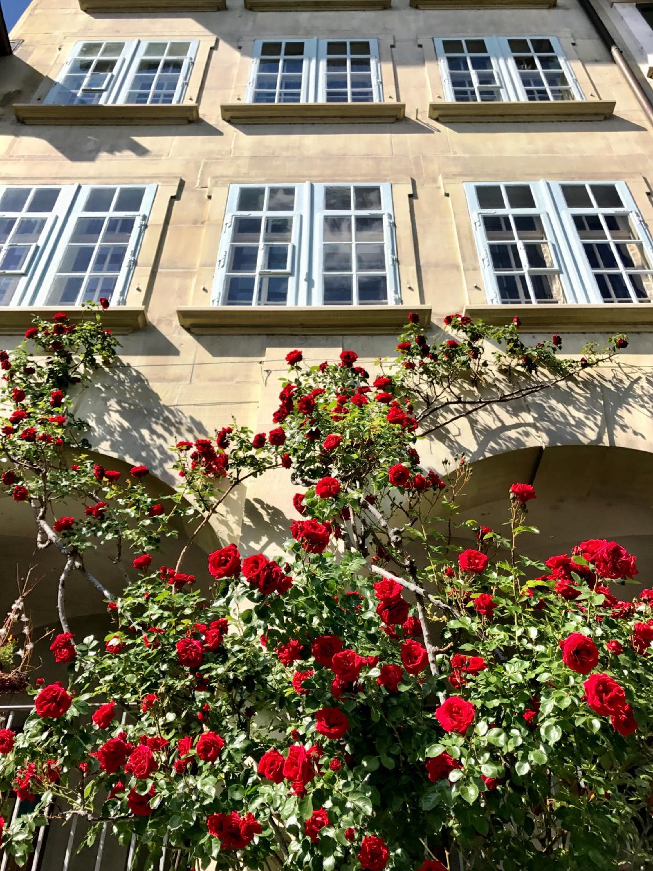 Bright & Stylish-Heart of Old City-Experienced Hosts