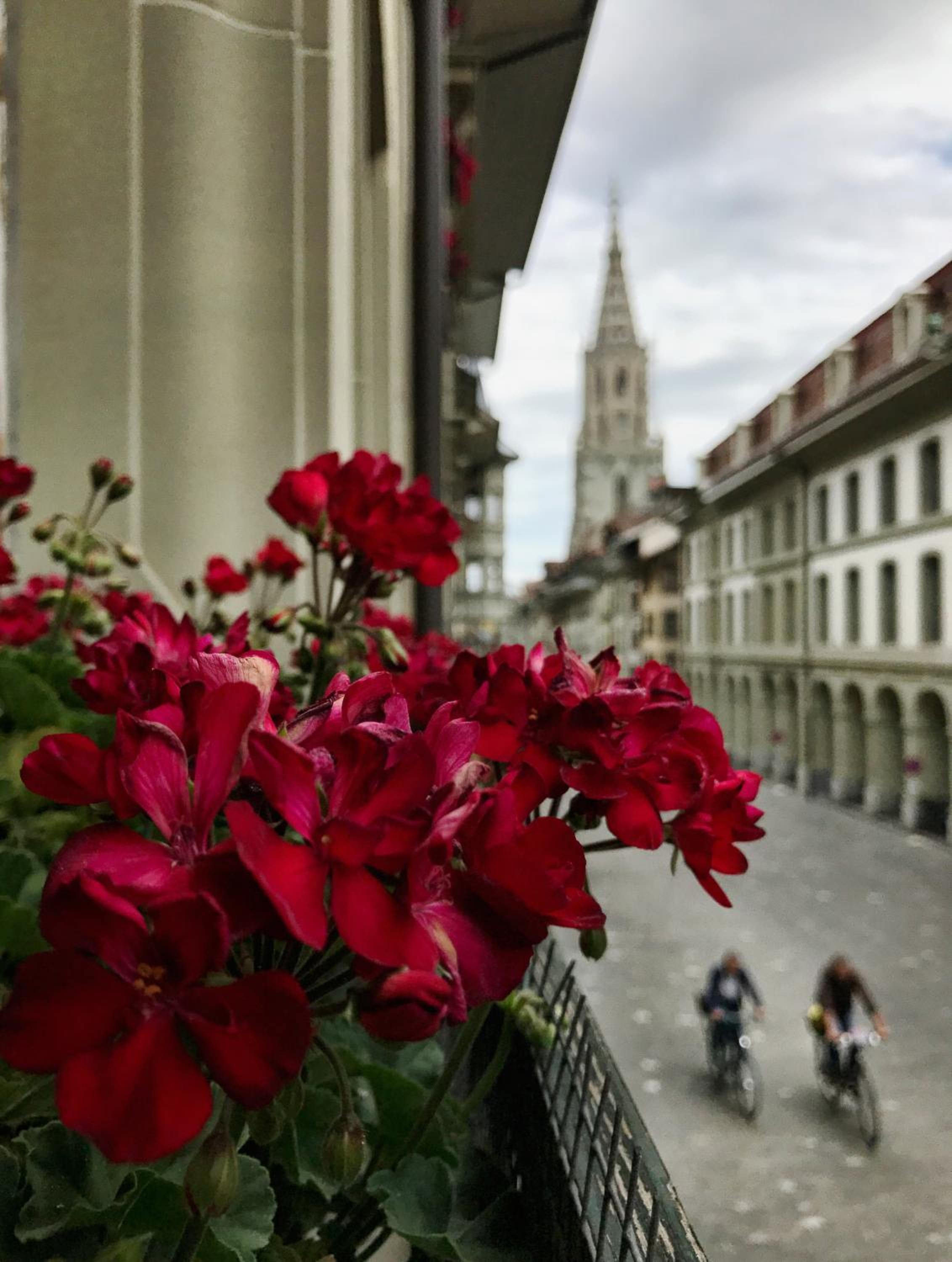 Bright & Stylish-Heart of Old City-Experienced Hosts
