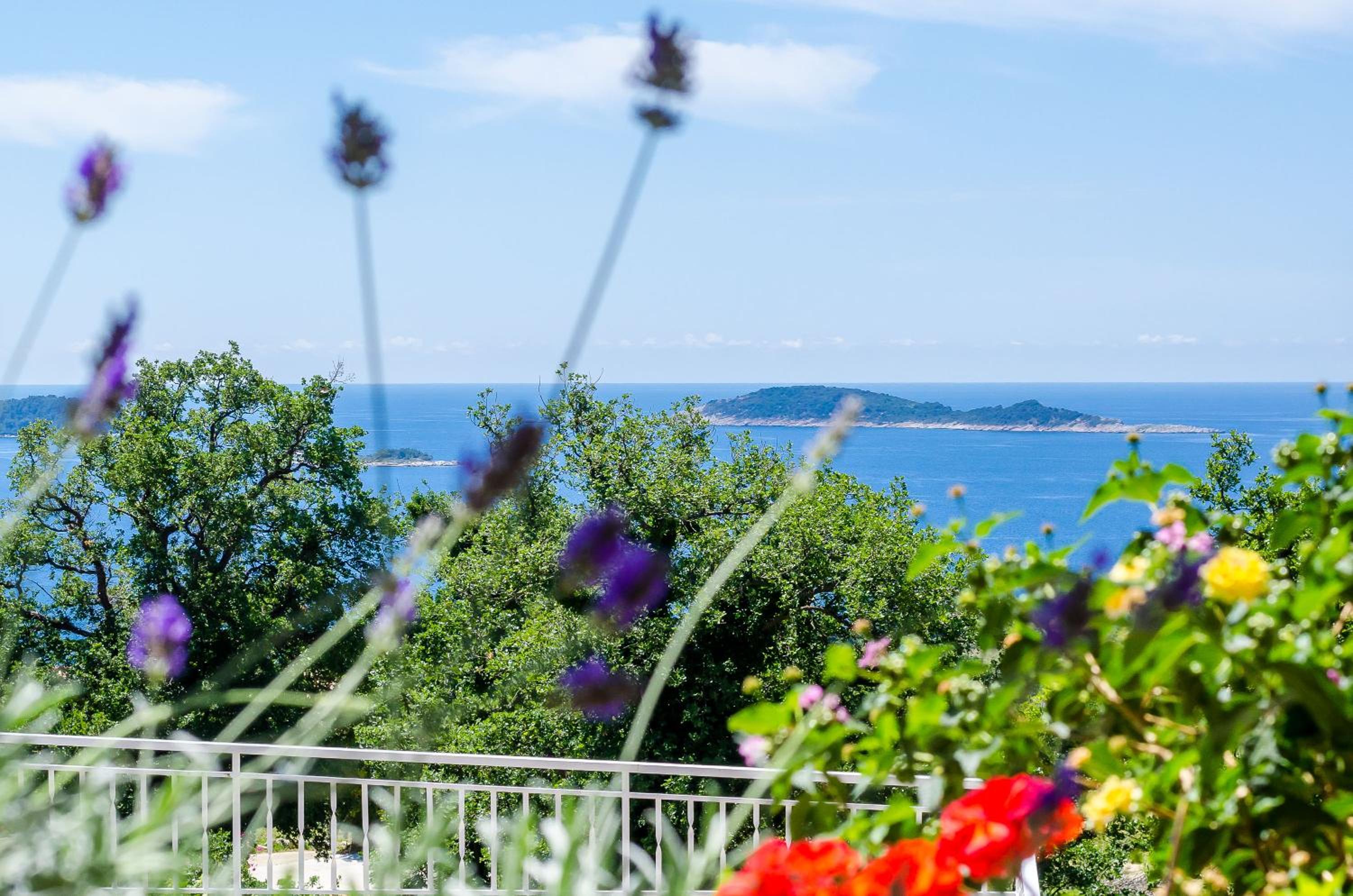 Adriatic Sunny Apartments view 3