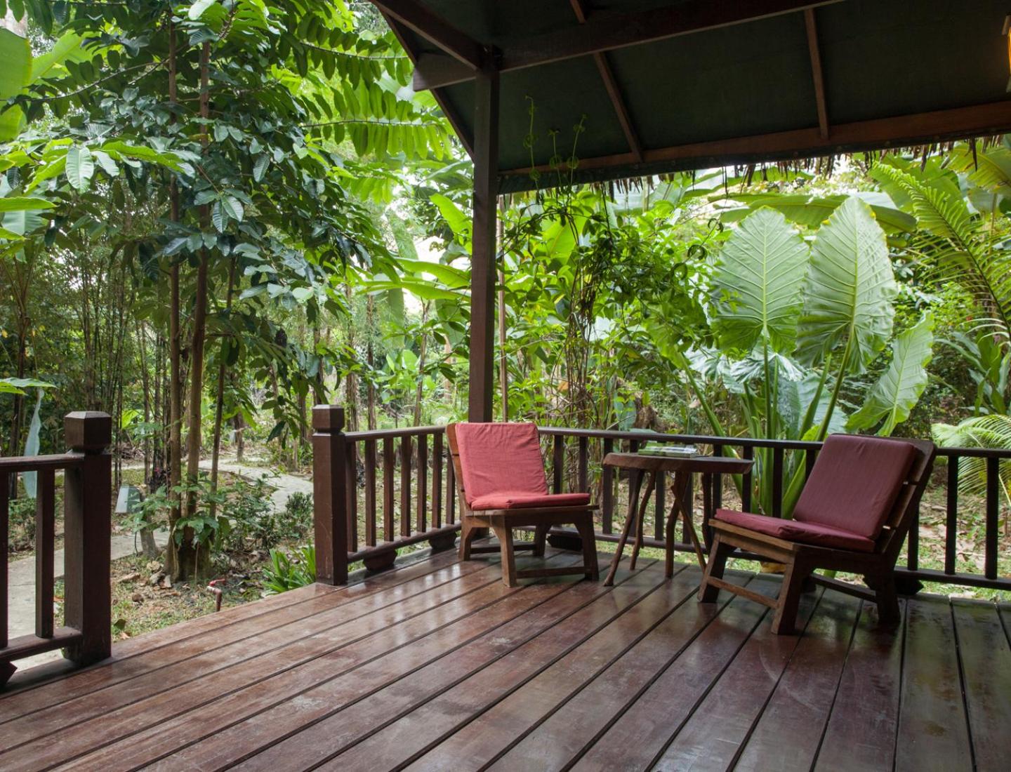 Our Jungle House