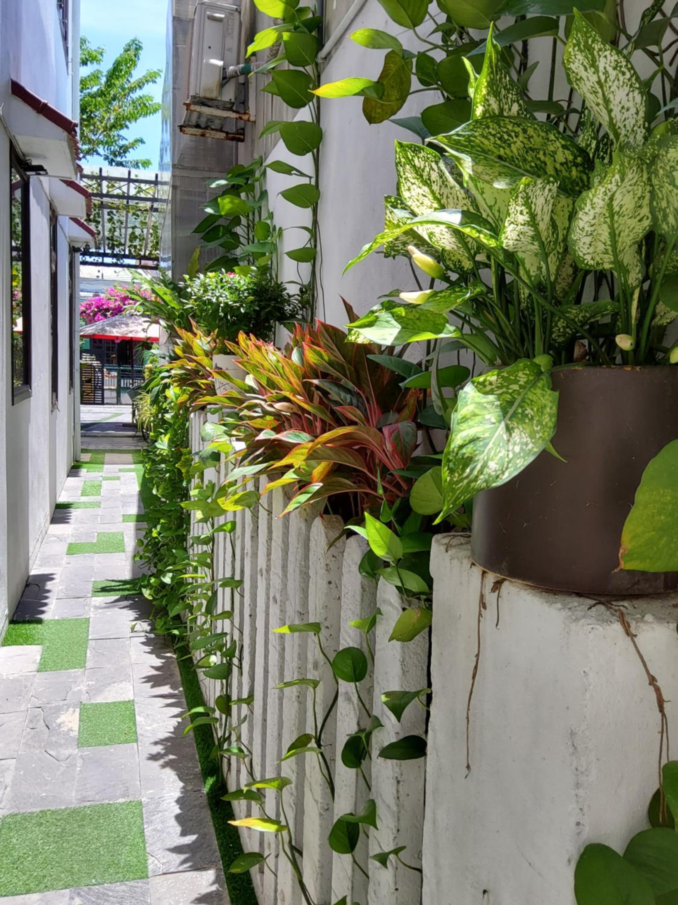 Bean Grass Homestay