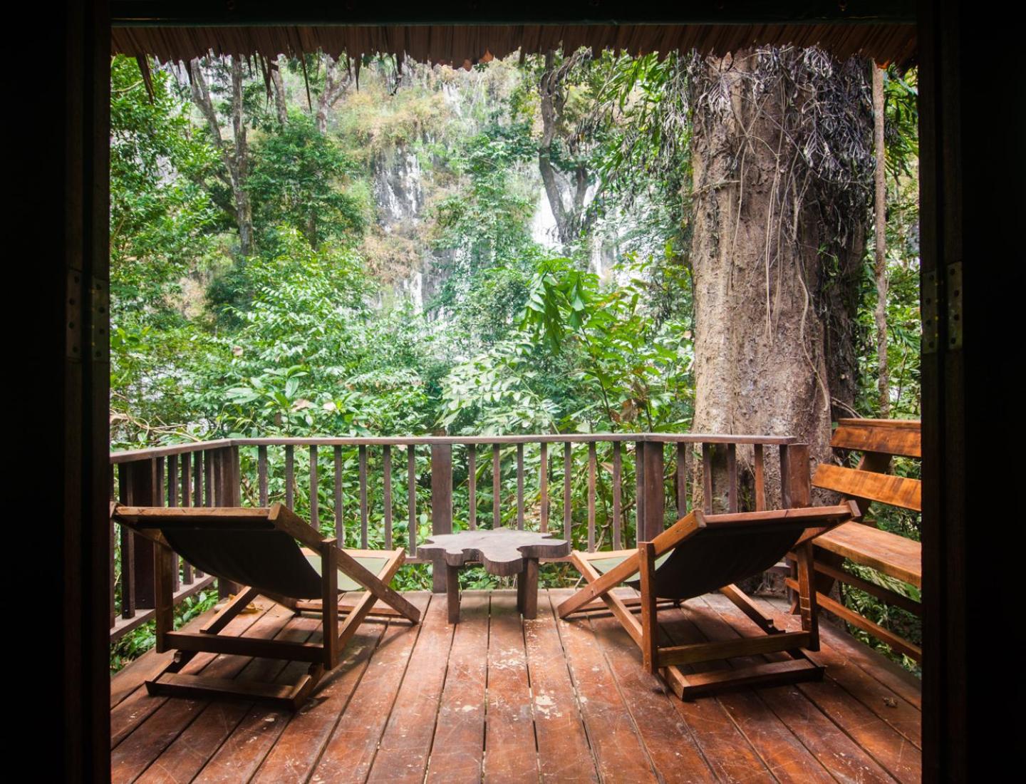 Our Jungle House
