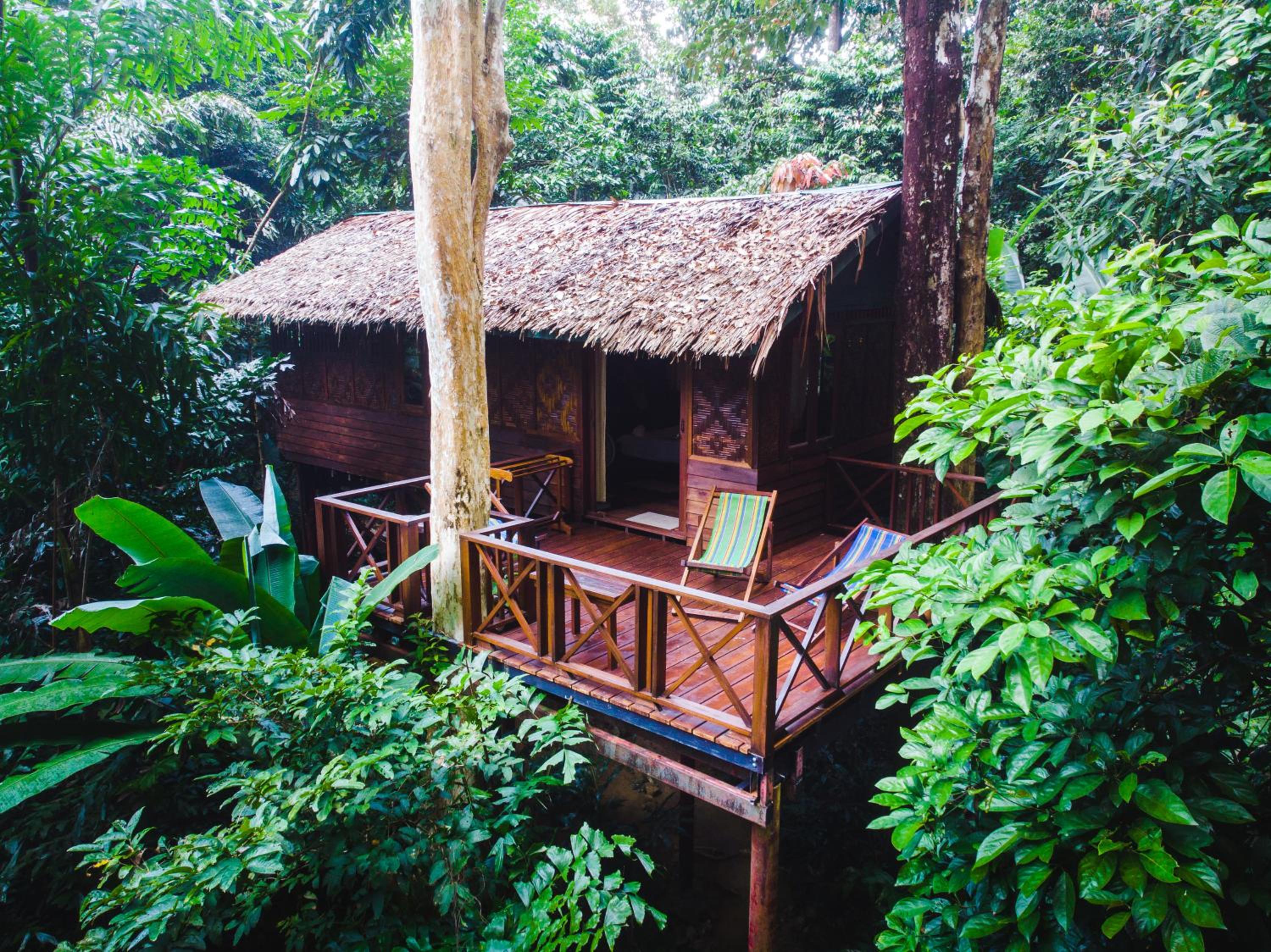 Our Jungle House