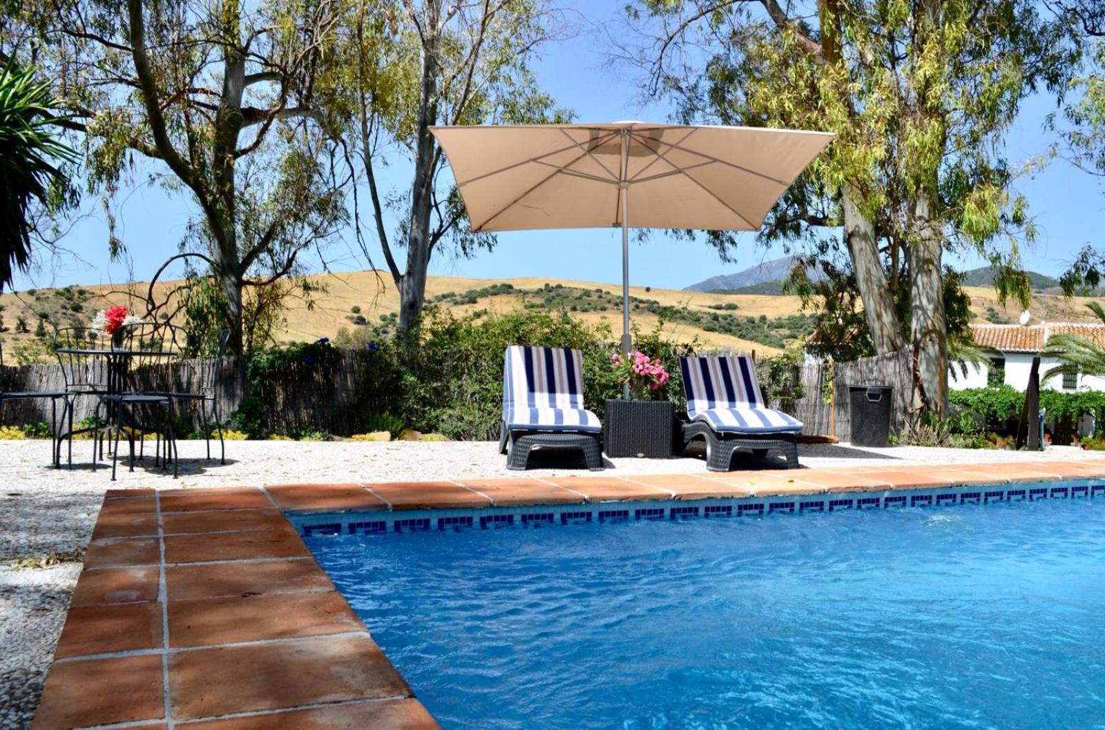 Casa de las Cañas by Rosas Cantares photo 4