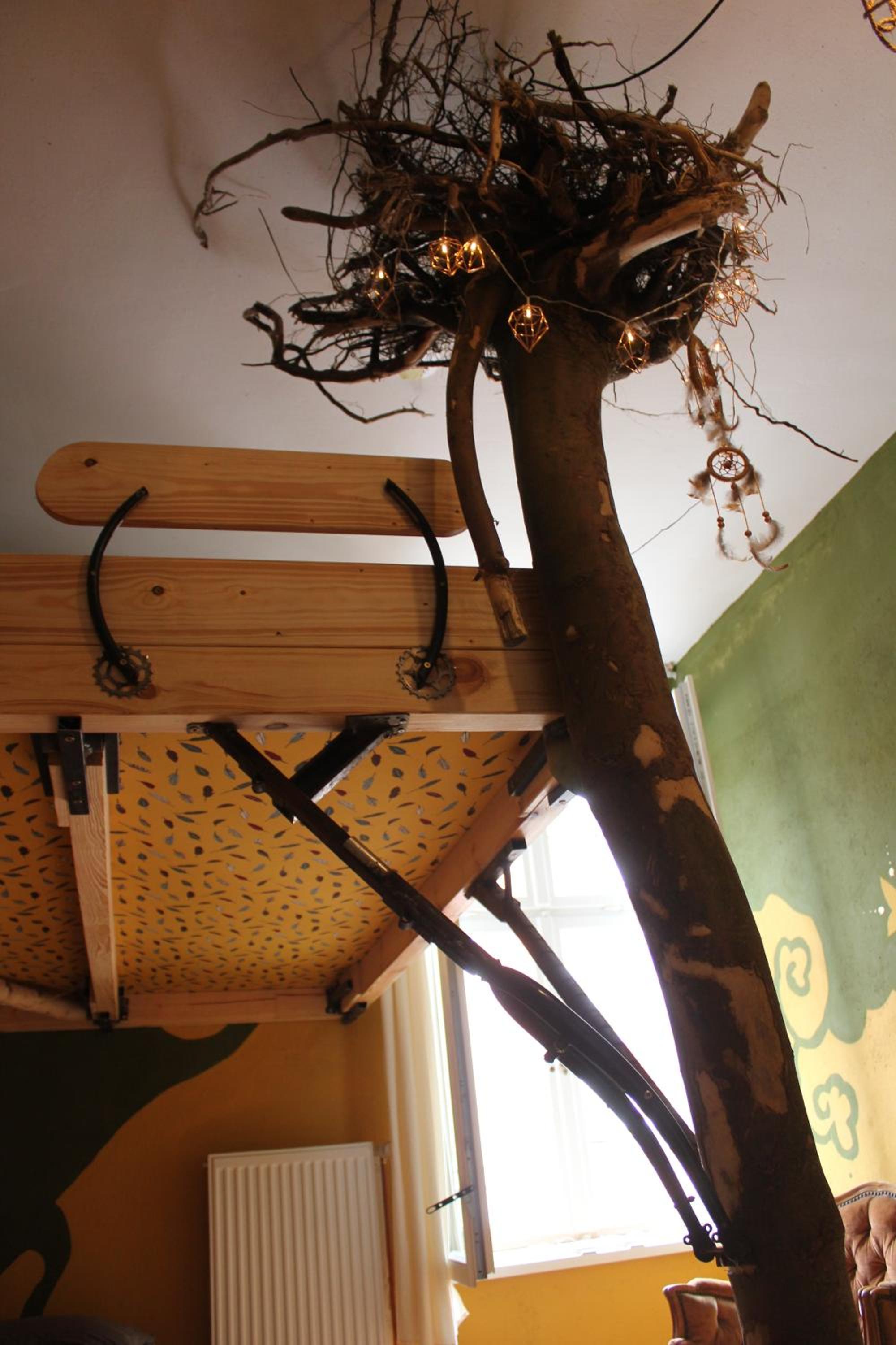 Photo 41