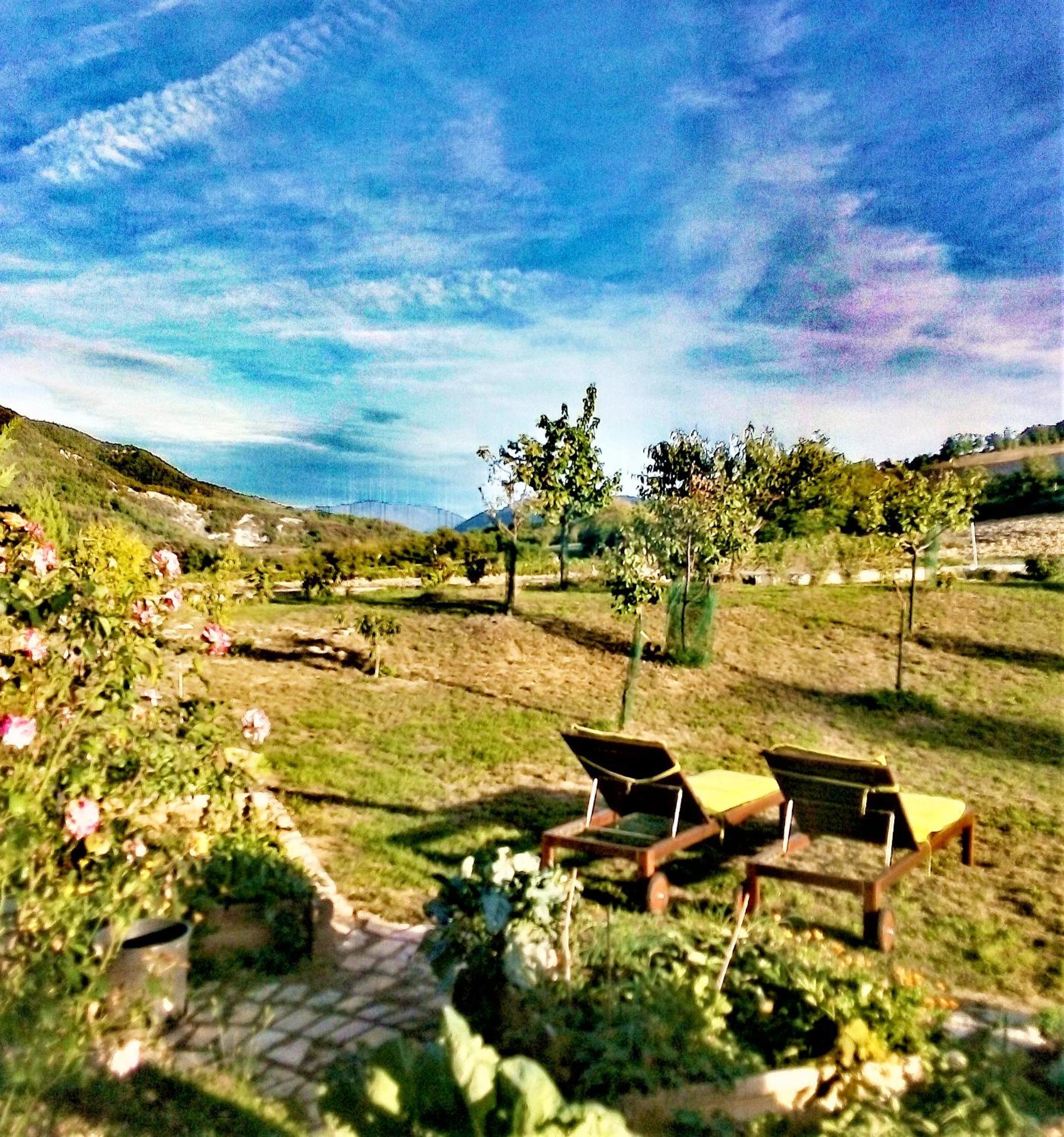 Photo 43