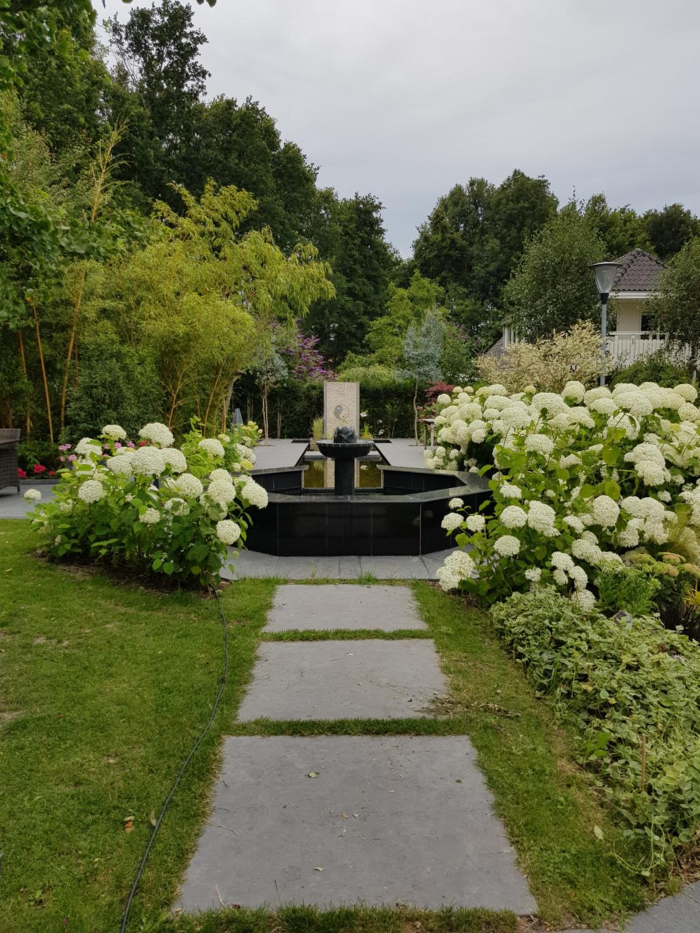 Photo 37