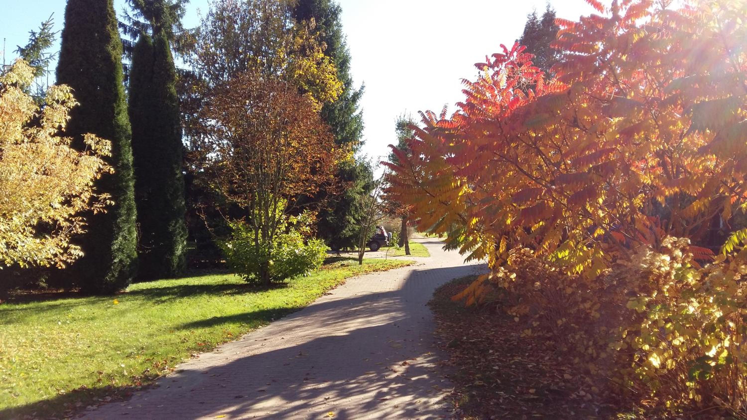 Photo 31