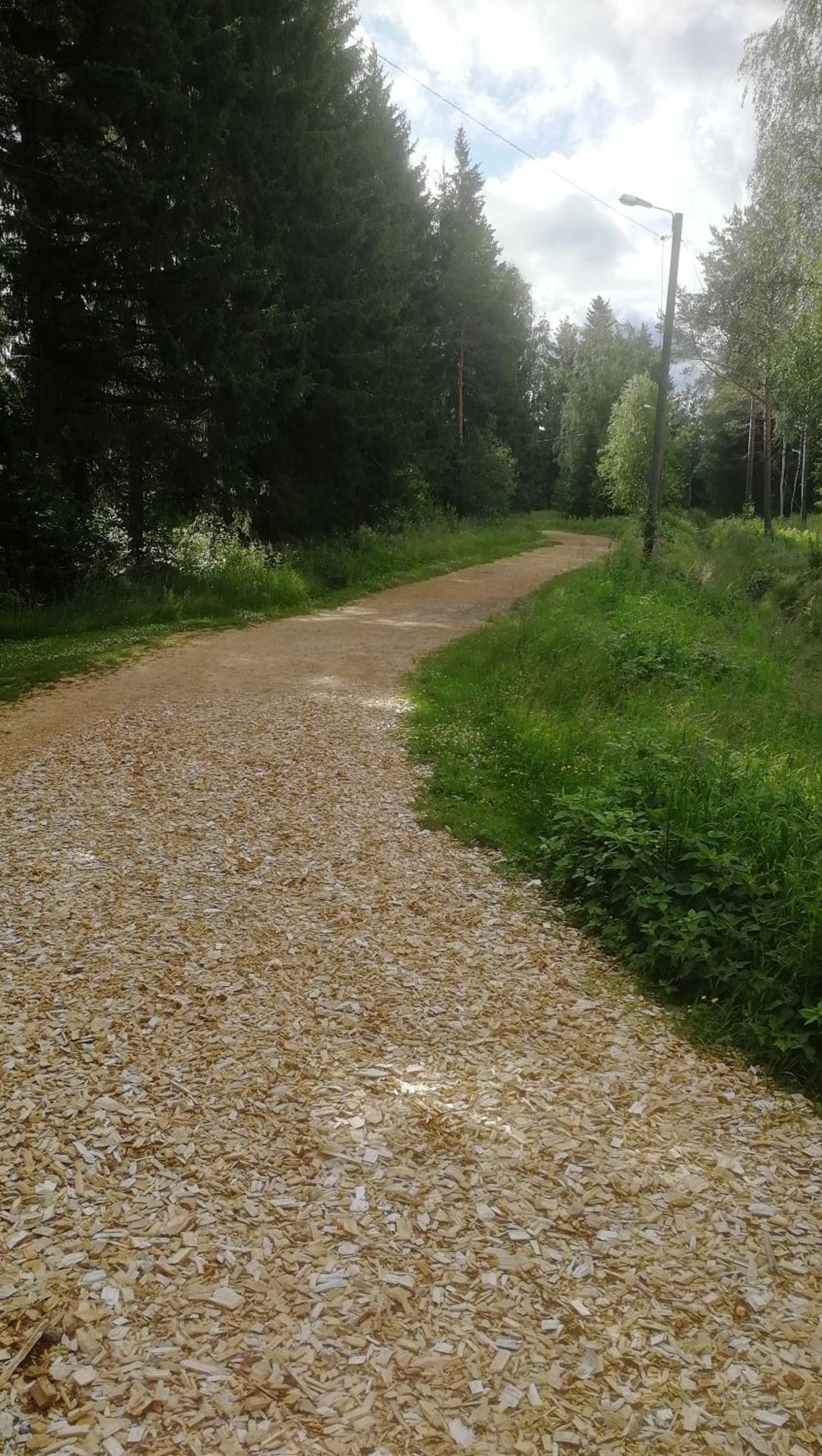 Photo 16