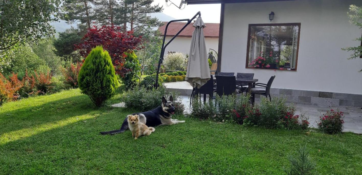 Villa Saint George