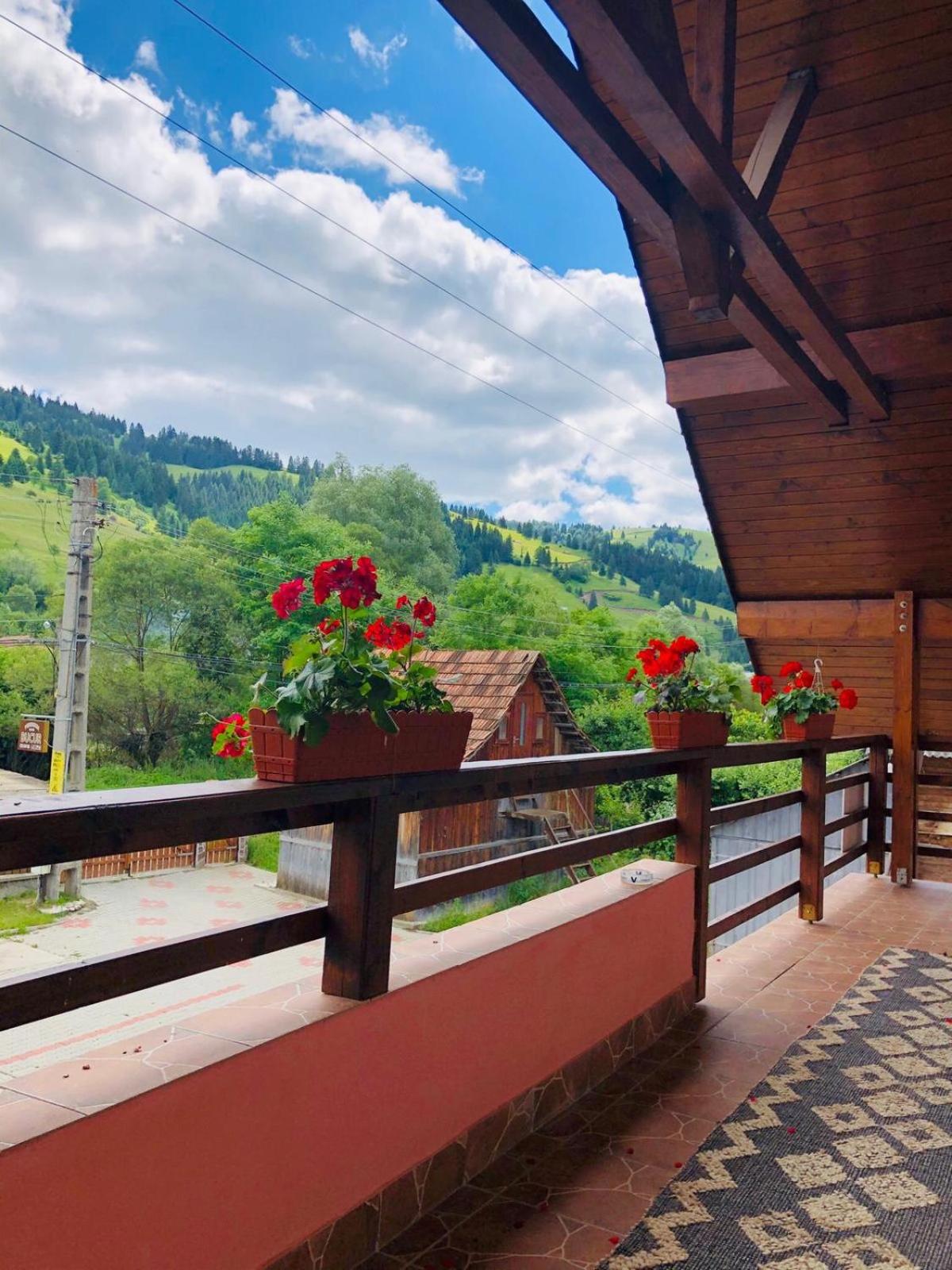 Pensiunea Bucur view 3