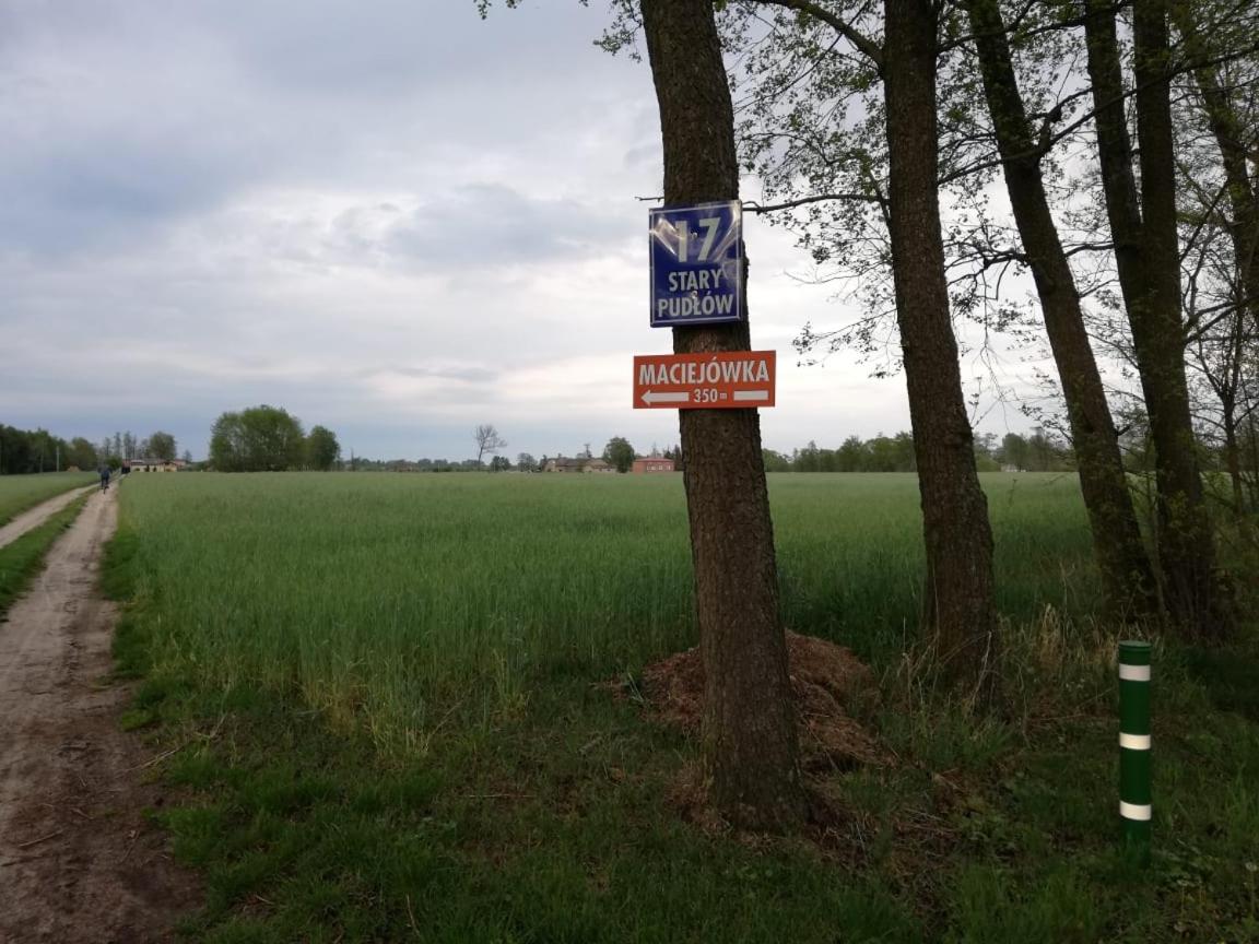 Photo 46