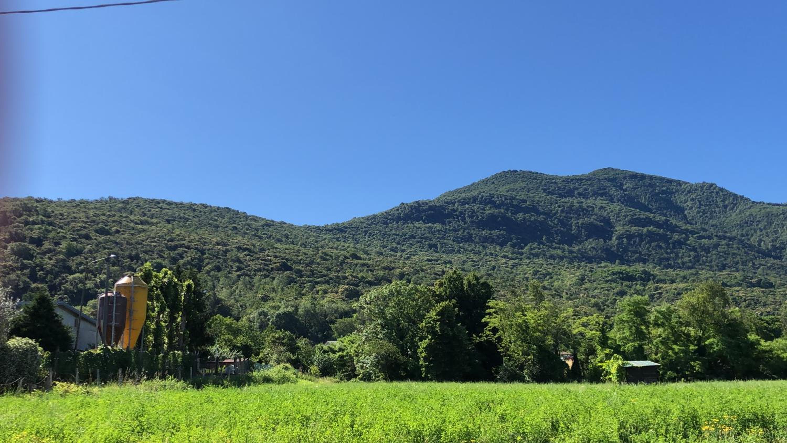 Agriturismo La Betulla
