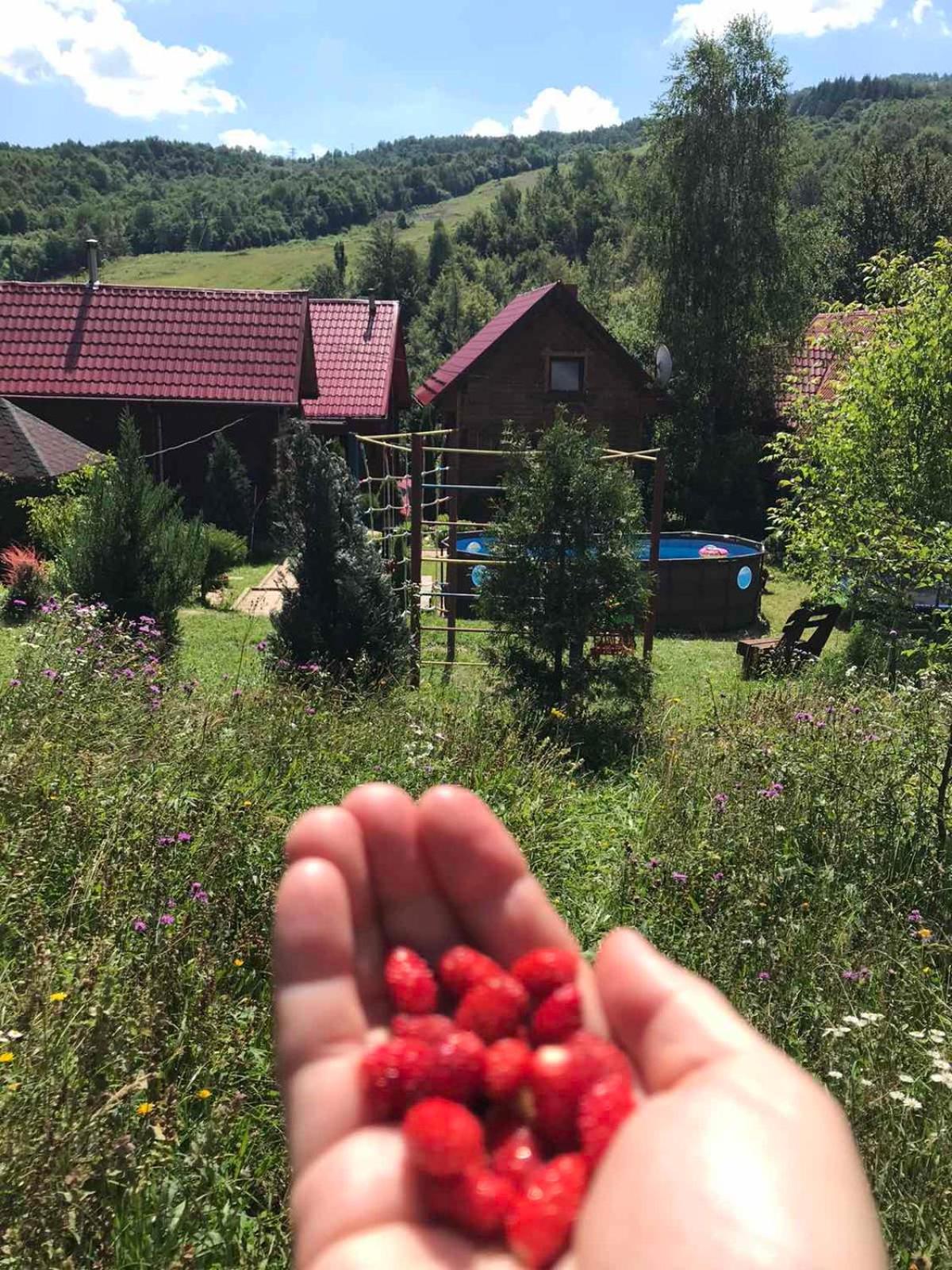 Teremok Guest House view 5