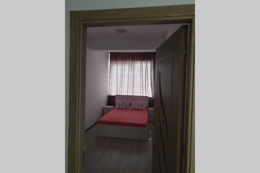 Moni apartment