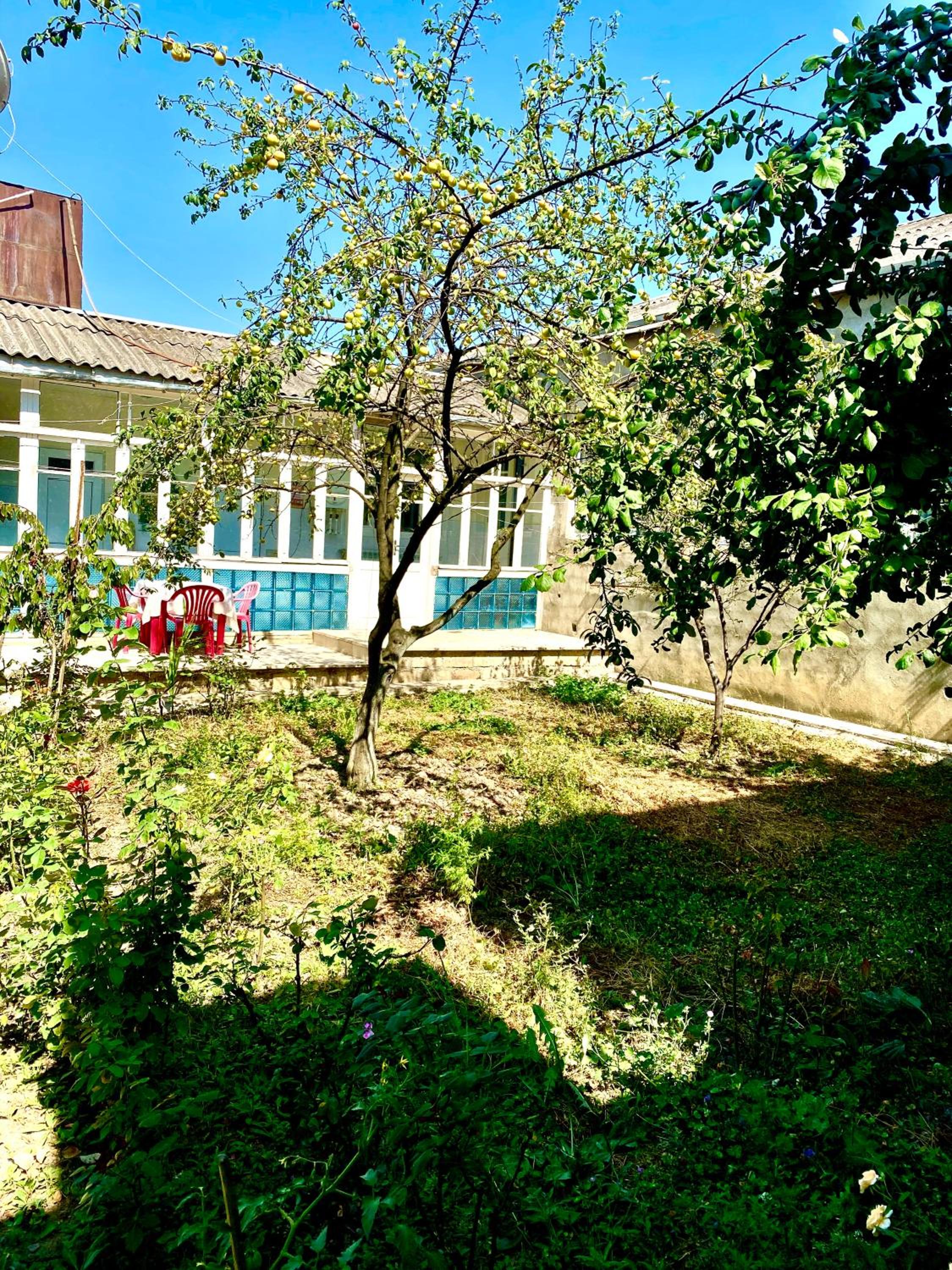 House in Quba