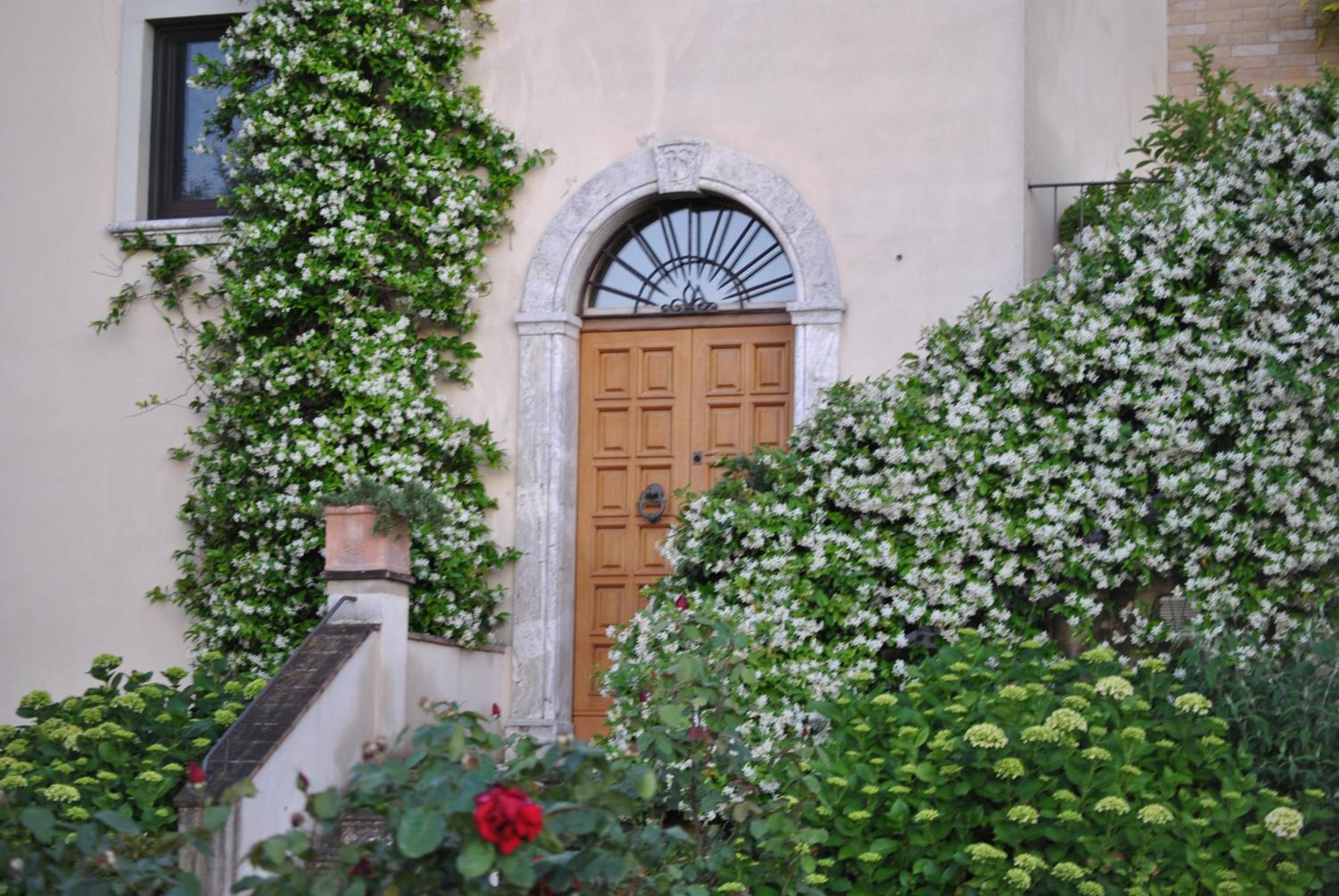 Photo 33