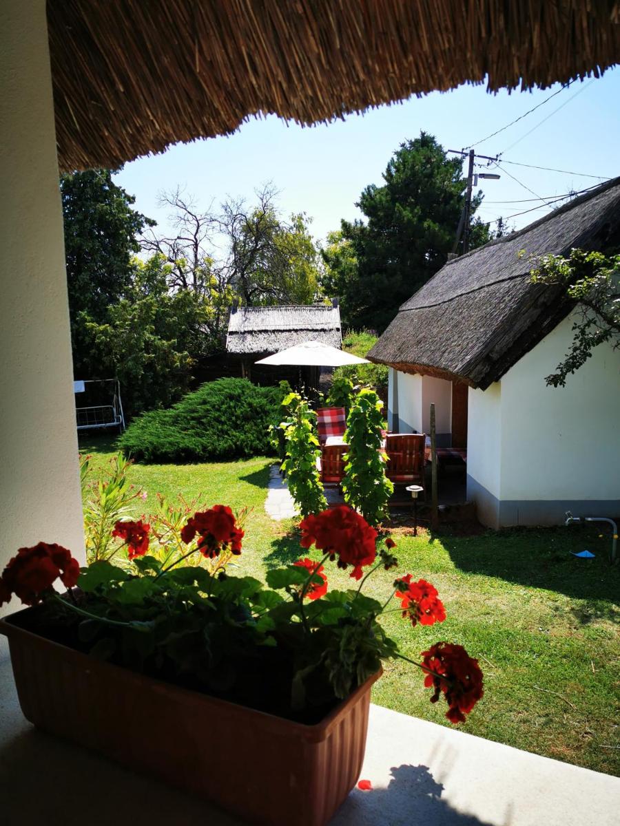 Country house Balaton view 3