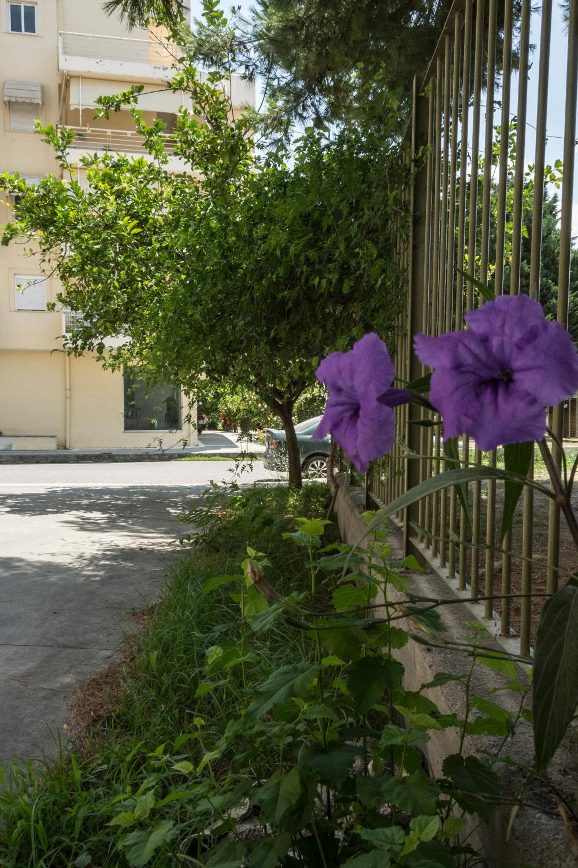 Hotel Nora's Home Kalamata - Image 1