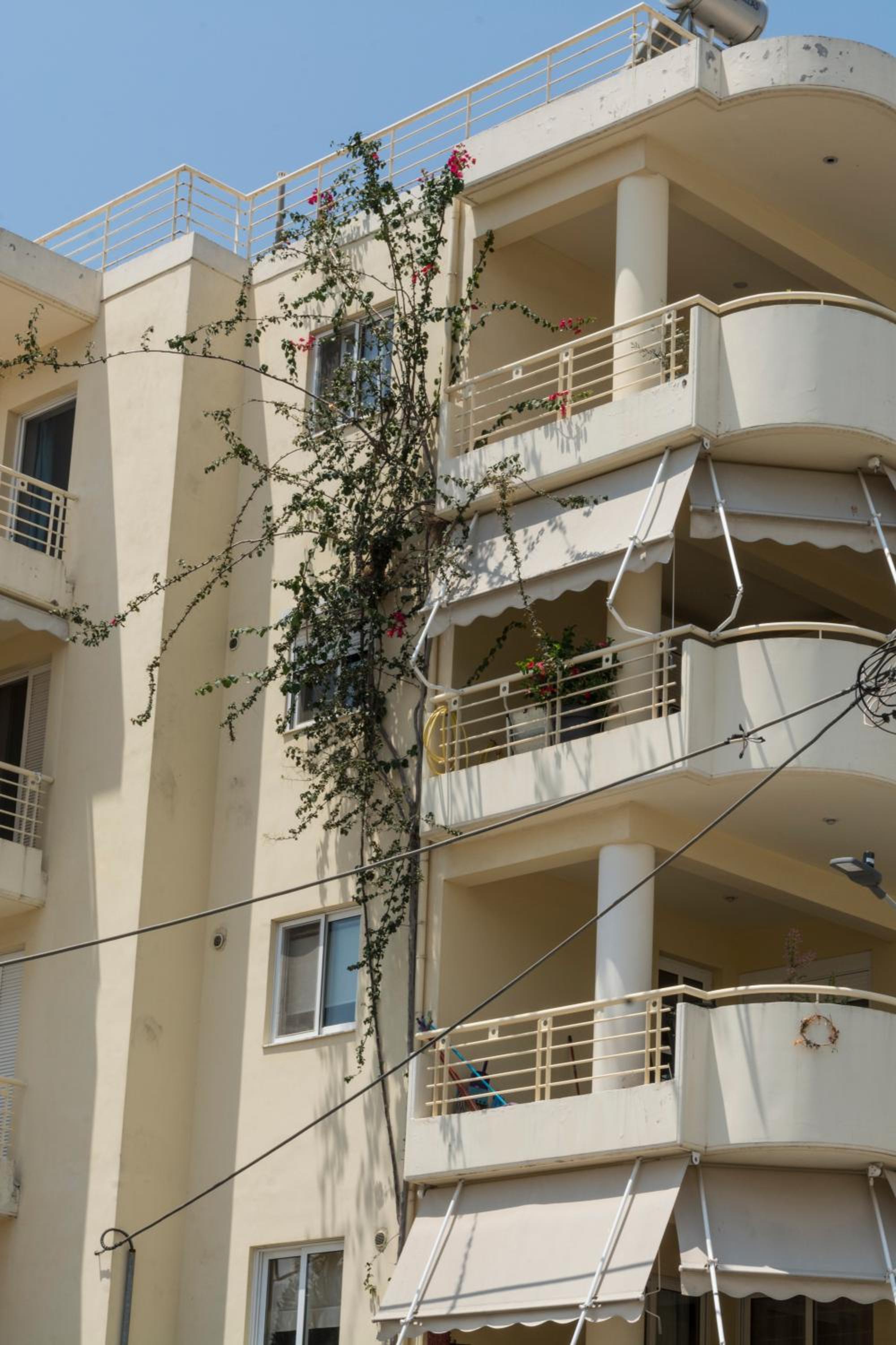 Nora's Home Kalamata