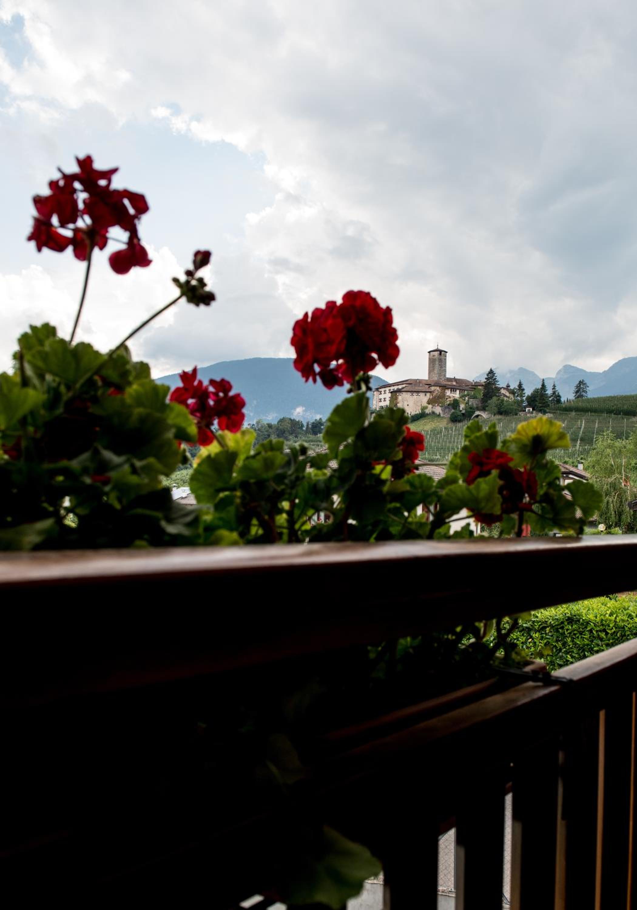 Agritur Renetta