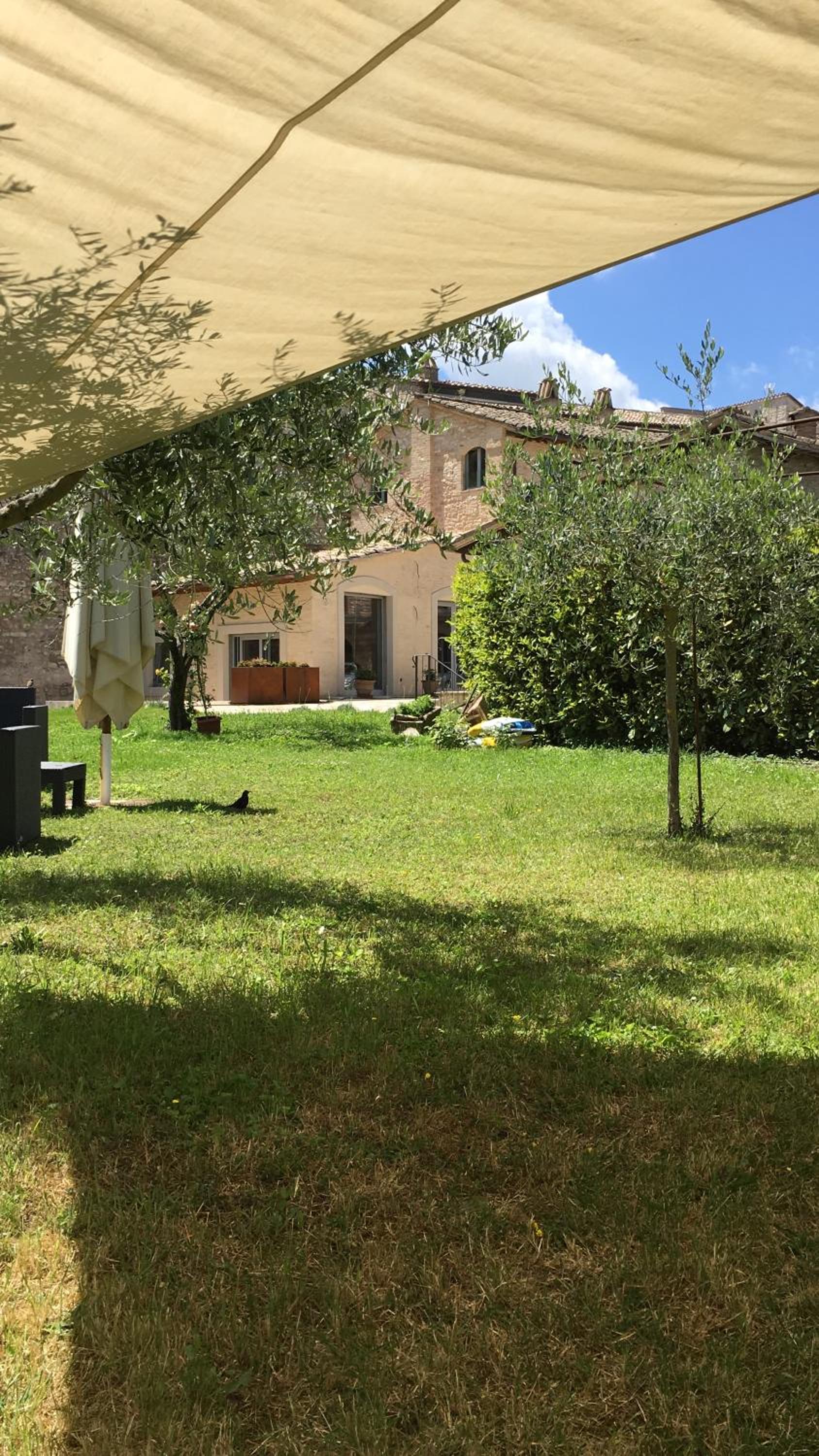 Photo 26