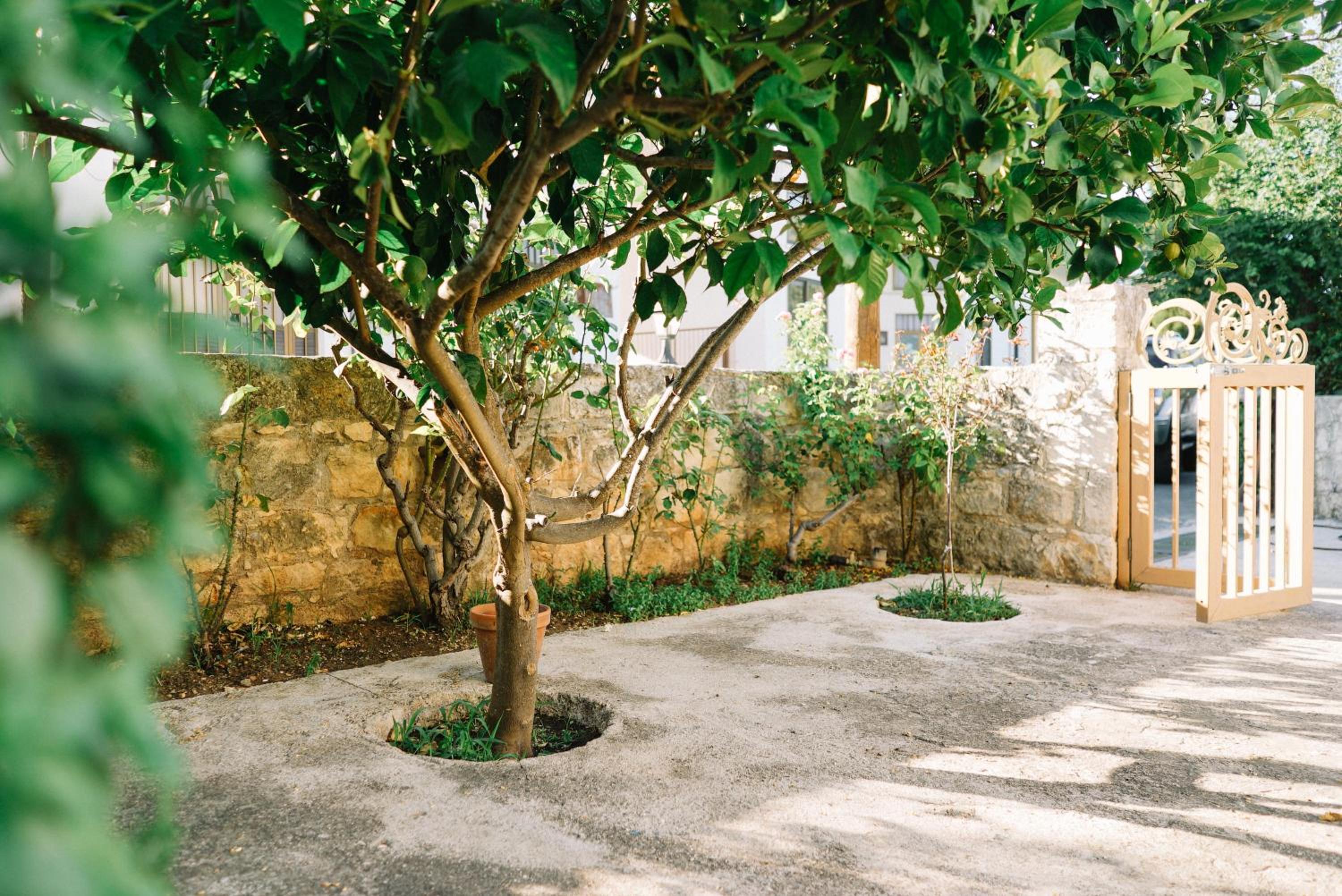 Malietzis House