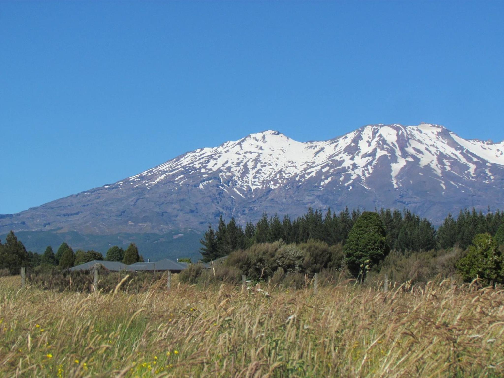 Tongariro Suites