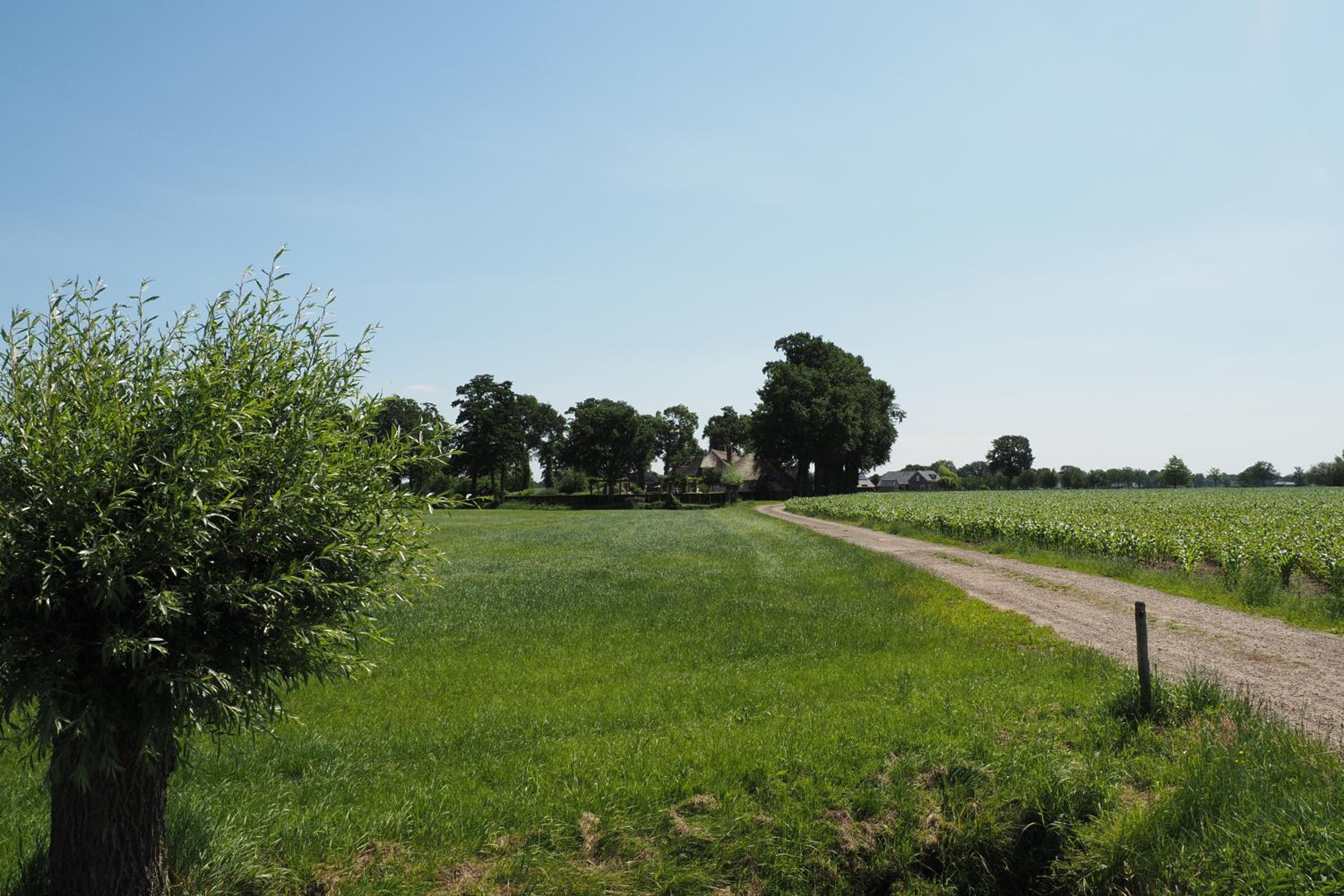 Bed & Breakfast De Oude Heerd view 3