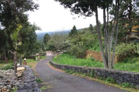 Villa Rural Faldas del Teide view 3