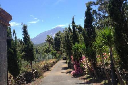 Villa Rural Faldas del Teide view 4