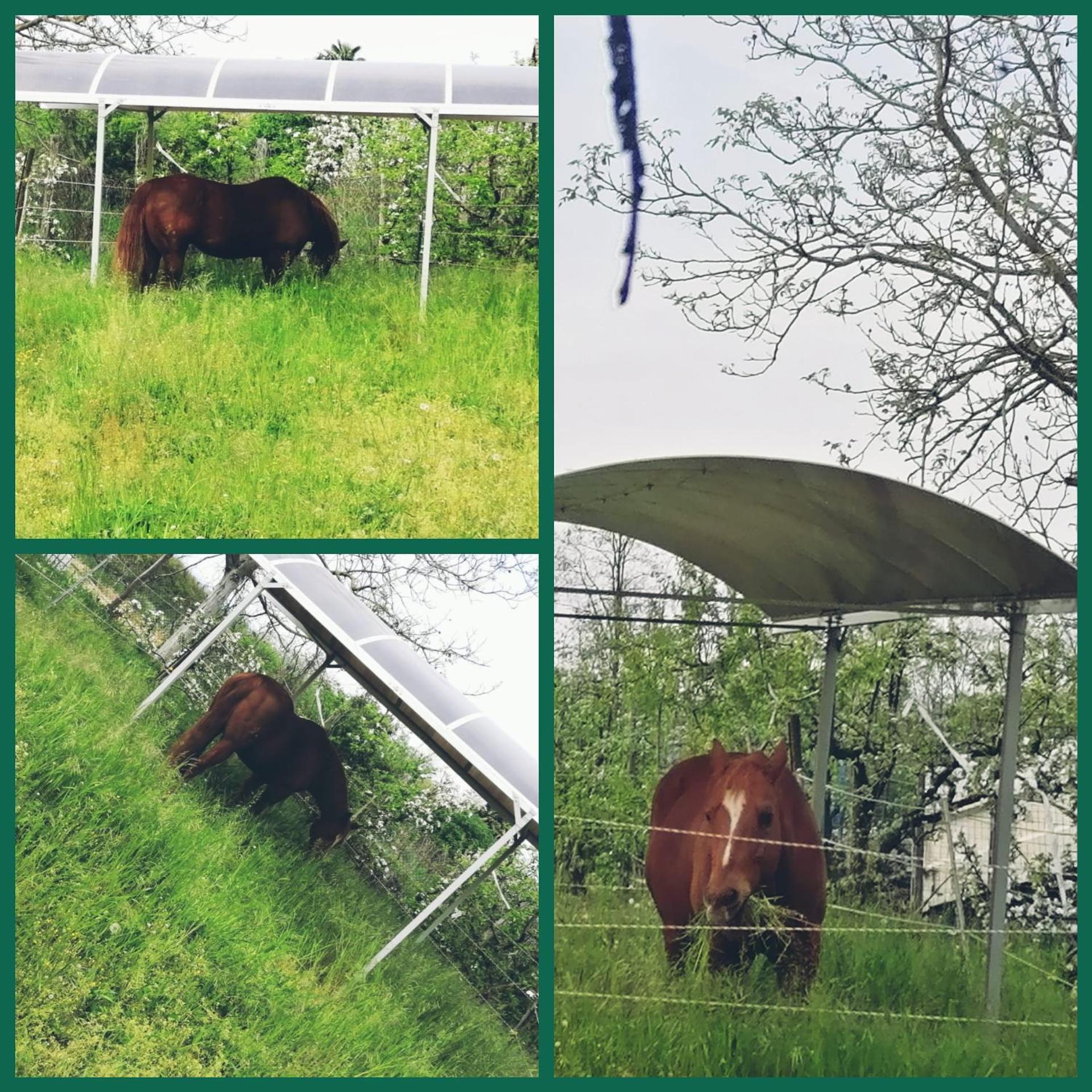 Felix House - Property Image 19