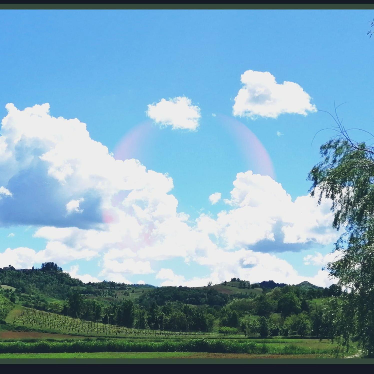 Felix House - Property Image 20