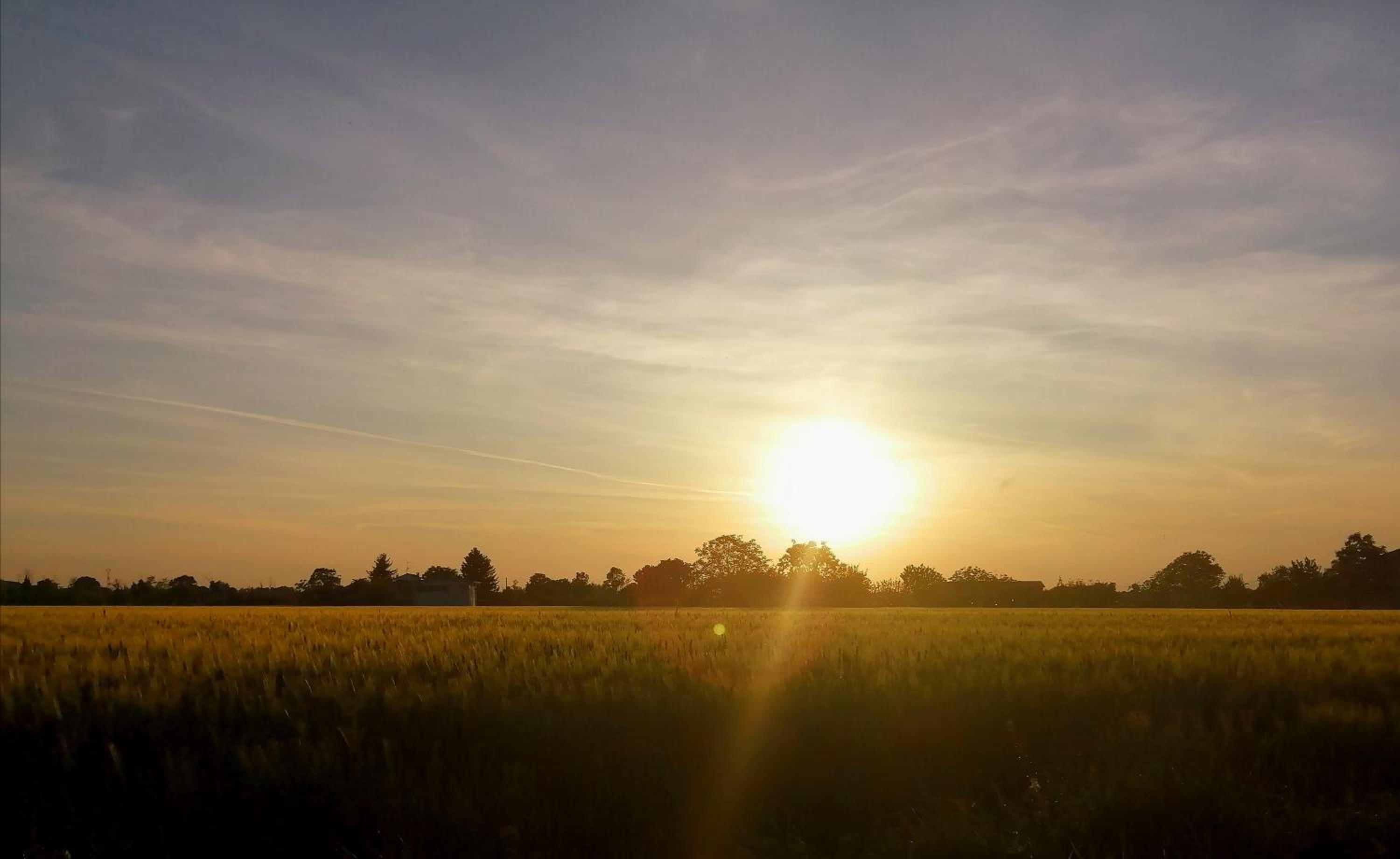 Felix House - Property Image 21