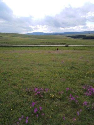 Apartman Libra Zlatibor view 4