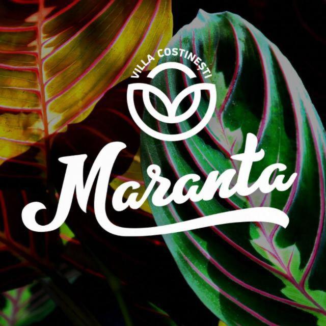 Casa Maranta view 2