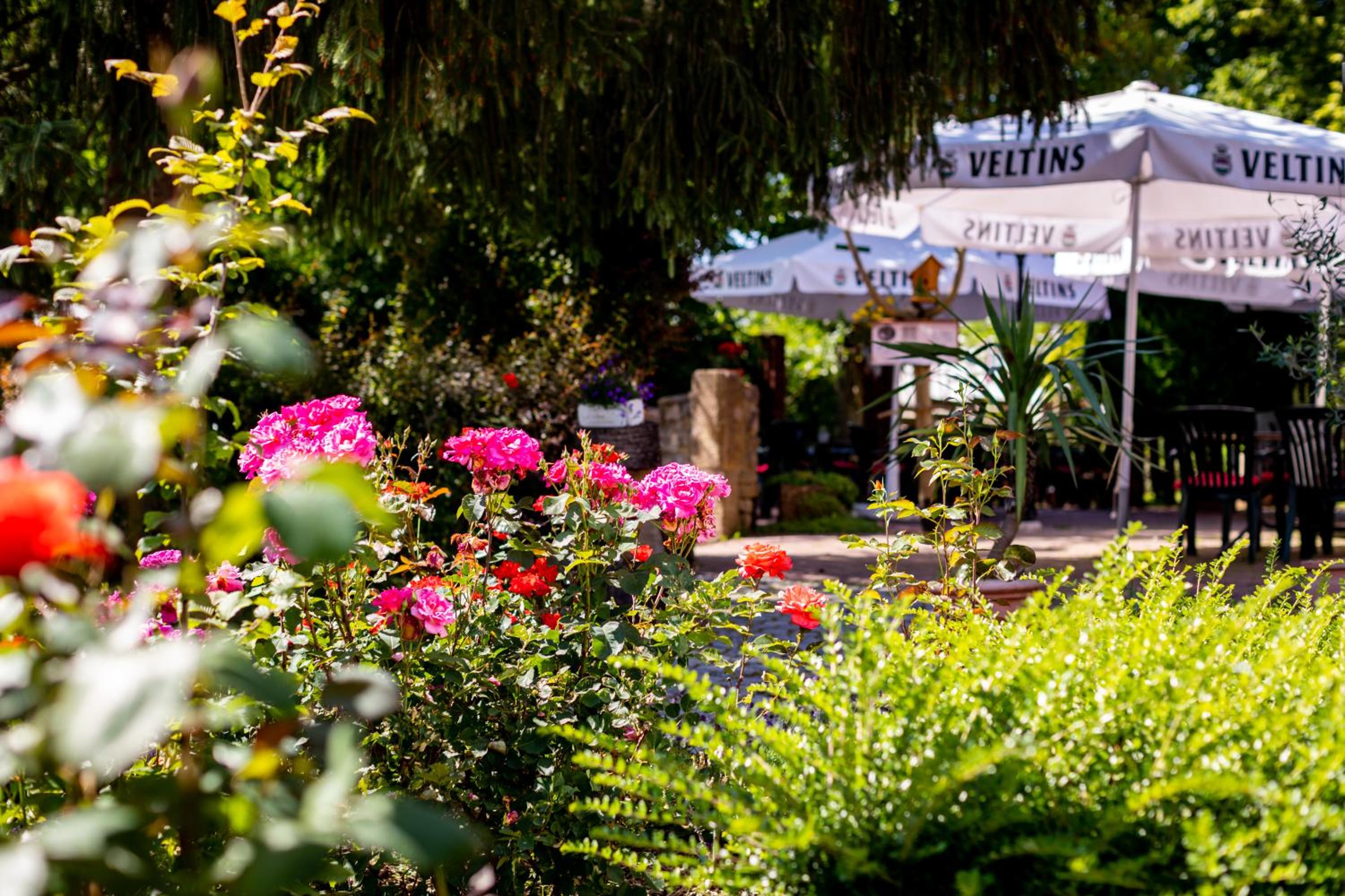Hotel & Restaurant Lengefelder Warte