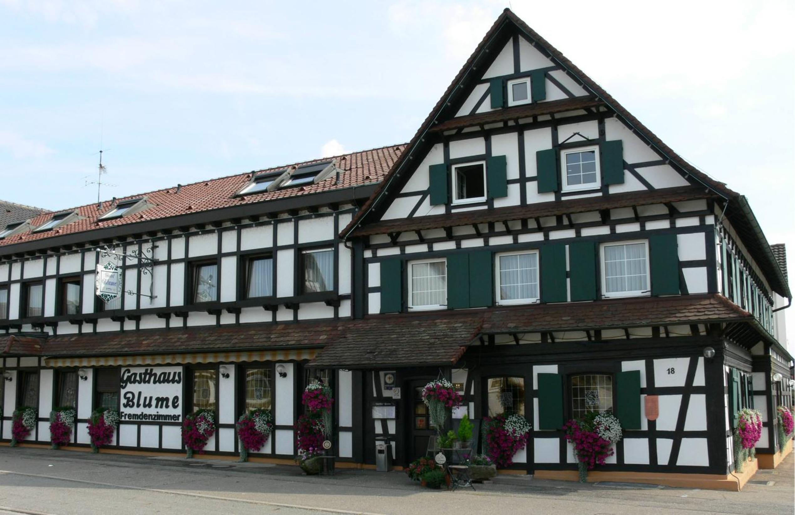 Hotel Landgasthof Blume - Image 1