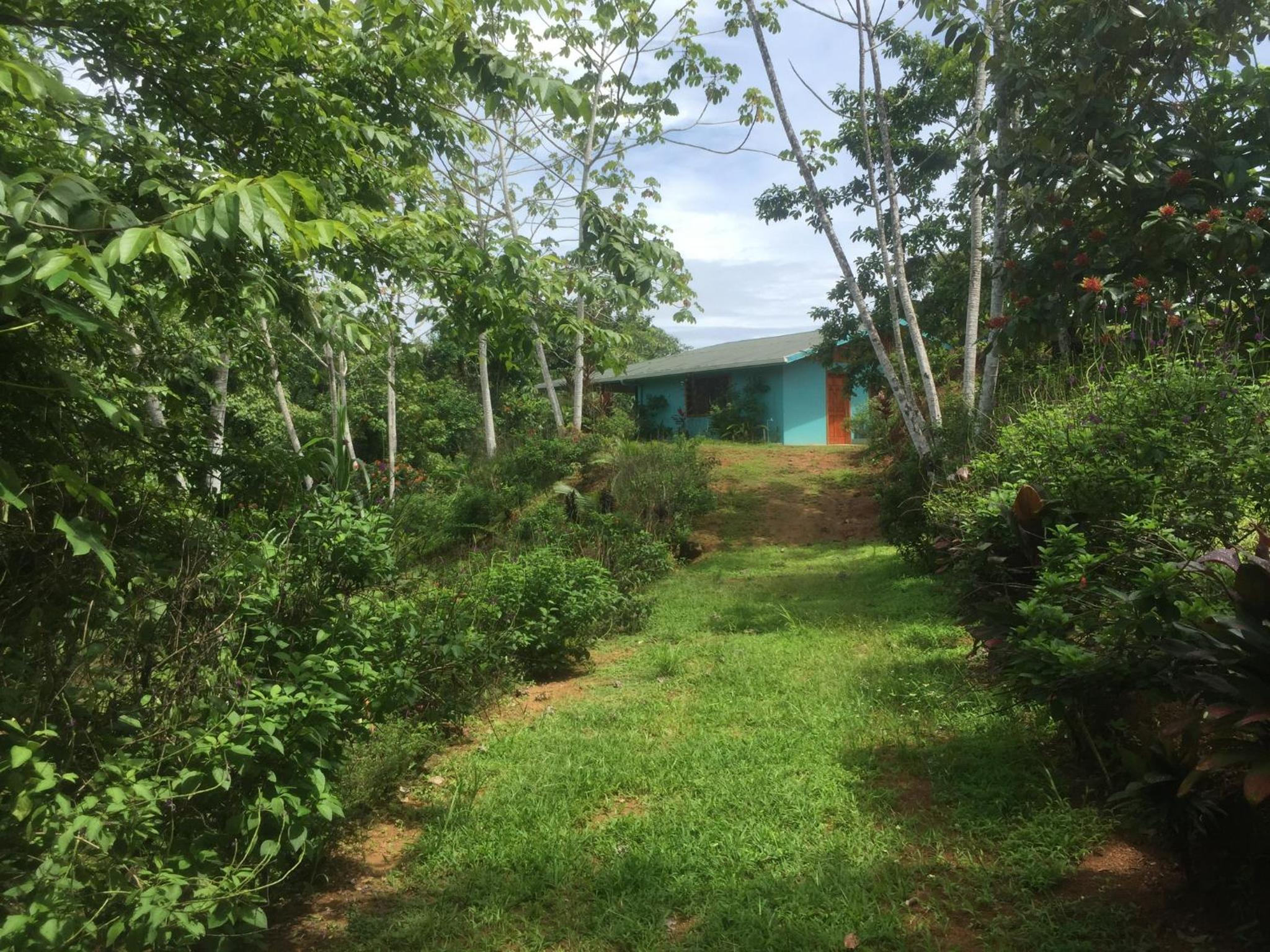 Villa with primary forest view view 3