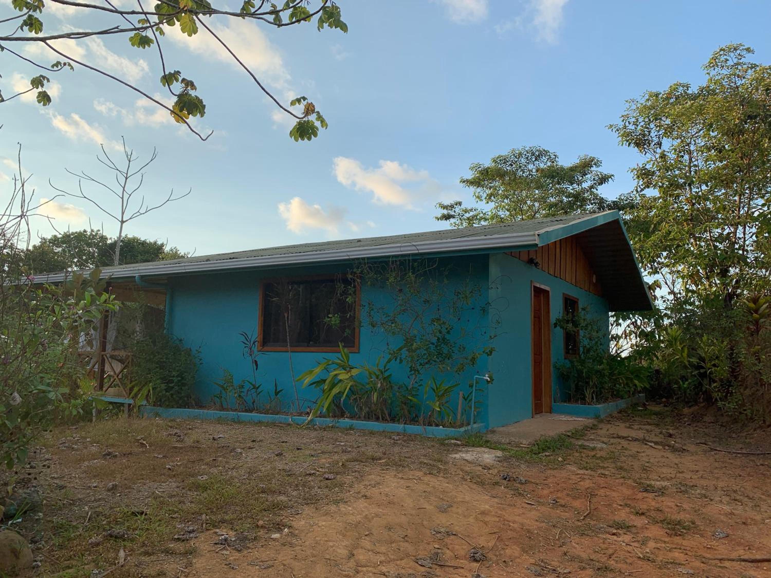 Photo 8