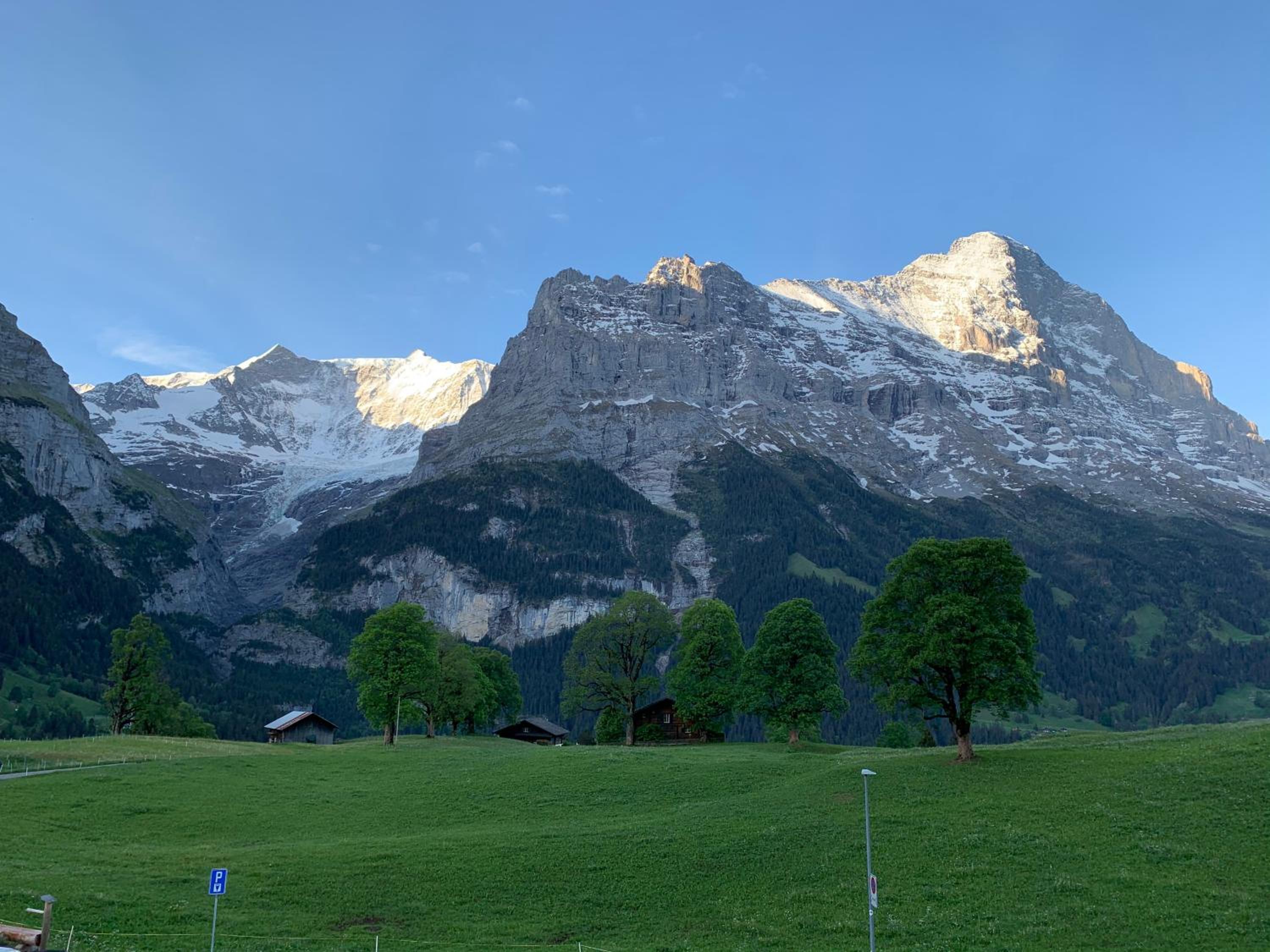 Eiger, Jungfrau, luxury garden apartment view 5