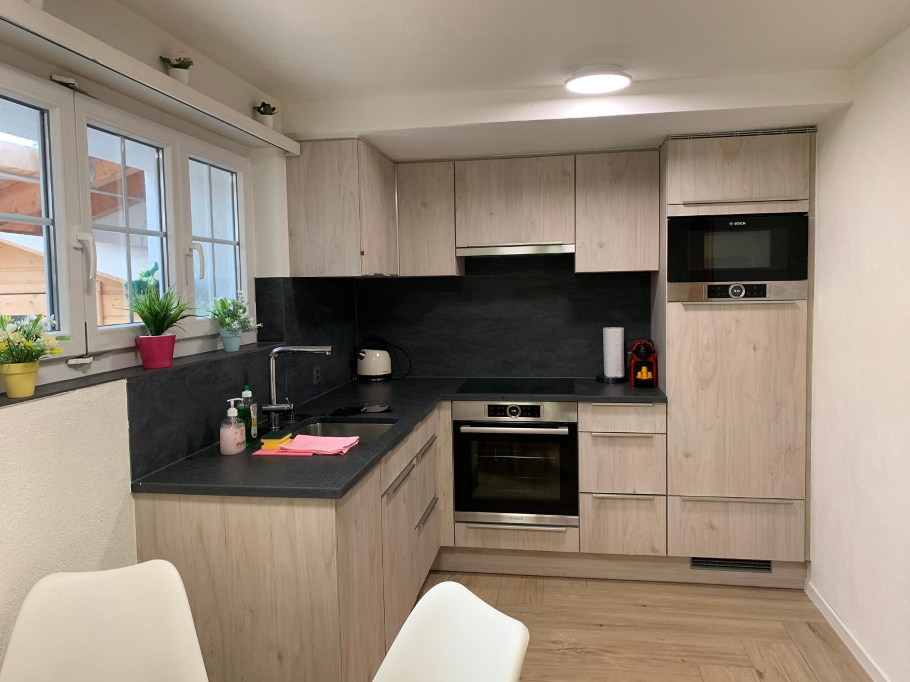 Eiger, Jungfrau, luxury garden apartment view 2