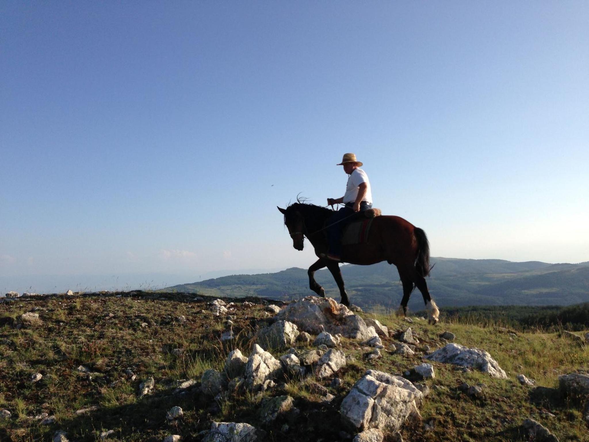 Dona Guest House - Horse Riding